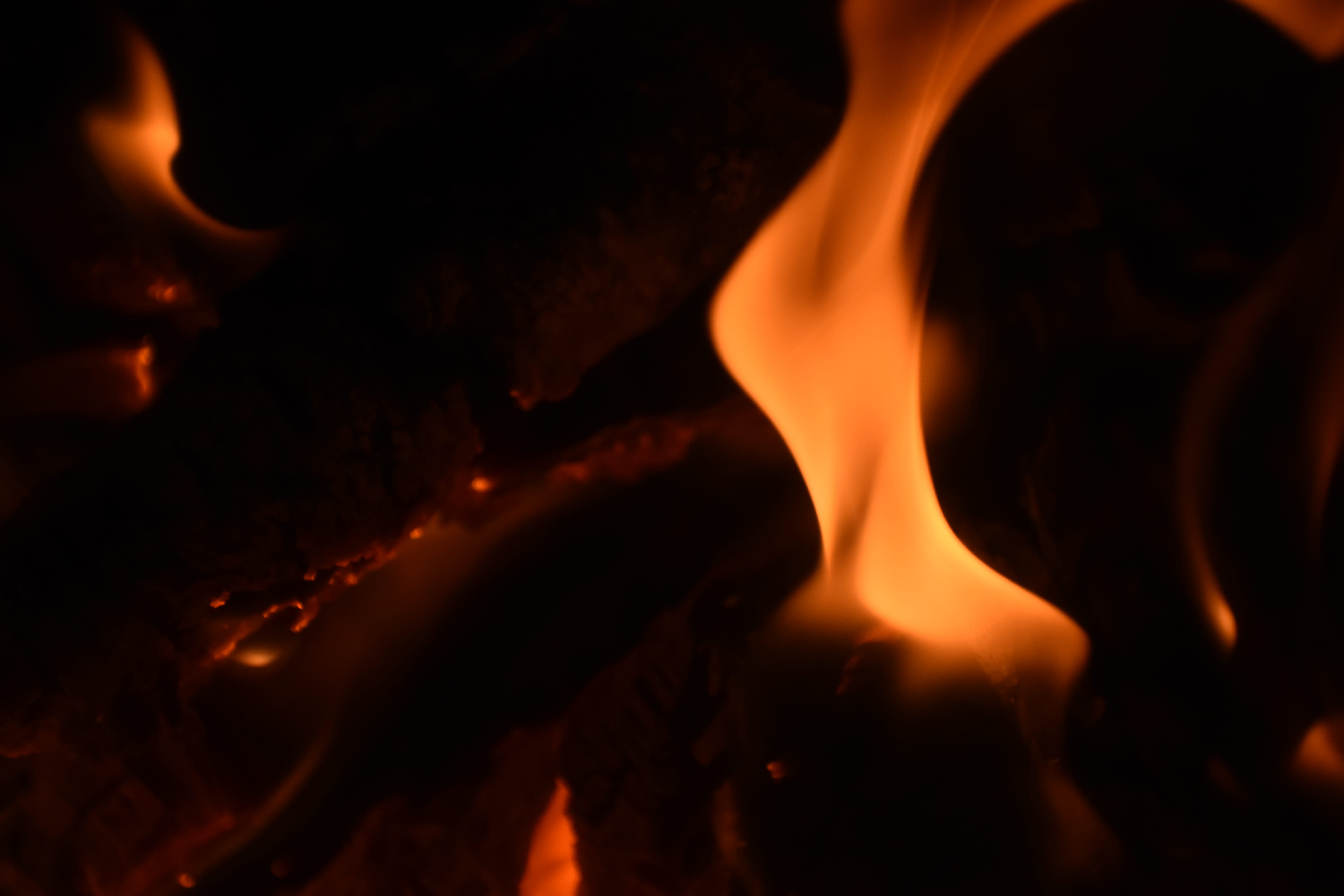 heat - temperature, orange color, forest fire, human, no people, wood - material, log, fire - natural phenomenon, nature, black color, bonfire, inferno, HD Wallpaper