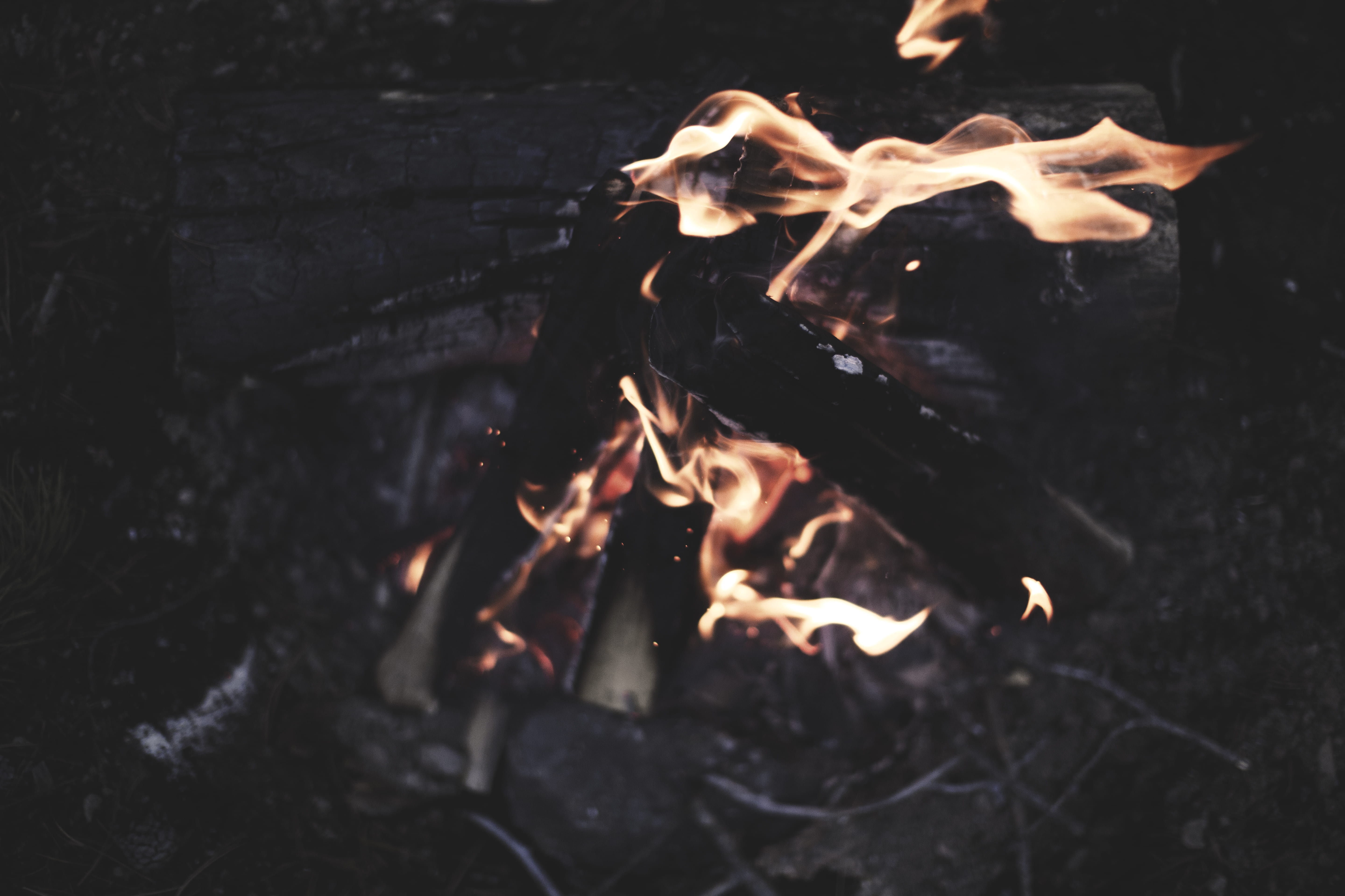 environment, insect, person, night, arachnid, long exposure, motion, wood, dark, glass, animal, glowing, event, burning, halo, log, nature, orange color, HD Wallpaper