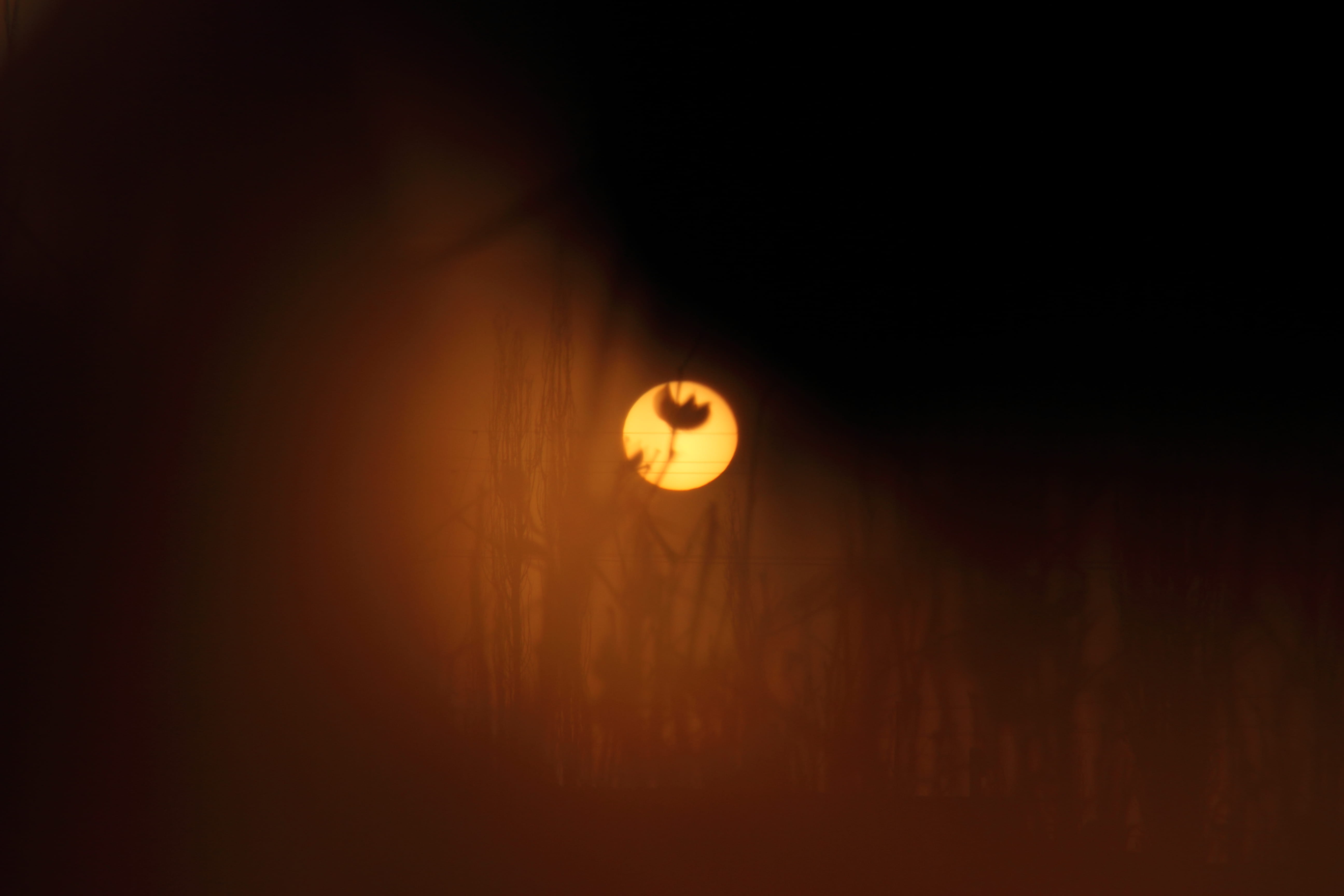 lunar eclipse, illuminated, sun, indoors, universe, flame, glowing, single object, no people, nature, lighting equipment, moon, emotion, astronomy, spotlight, HD Wallpaper