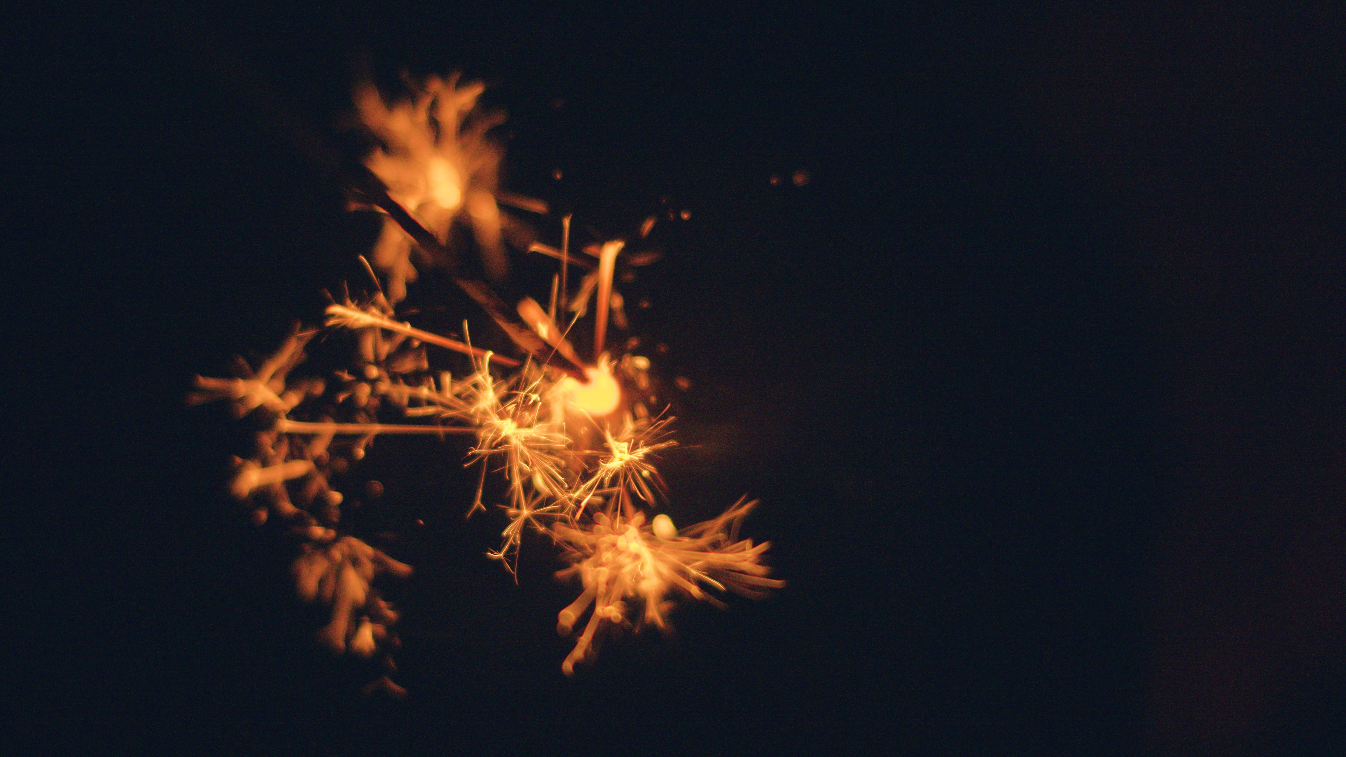 diwali, tree, nature, arts culture and entertainment, vegetation, night life, orange, black background, land, lighting, blurred motion, fire - natural phenomenon, HD Wallpaper
