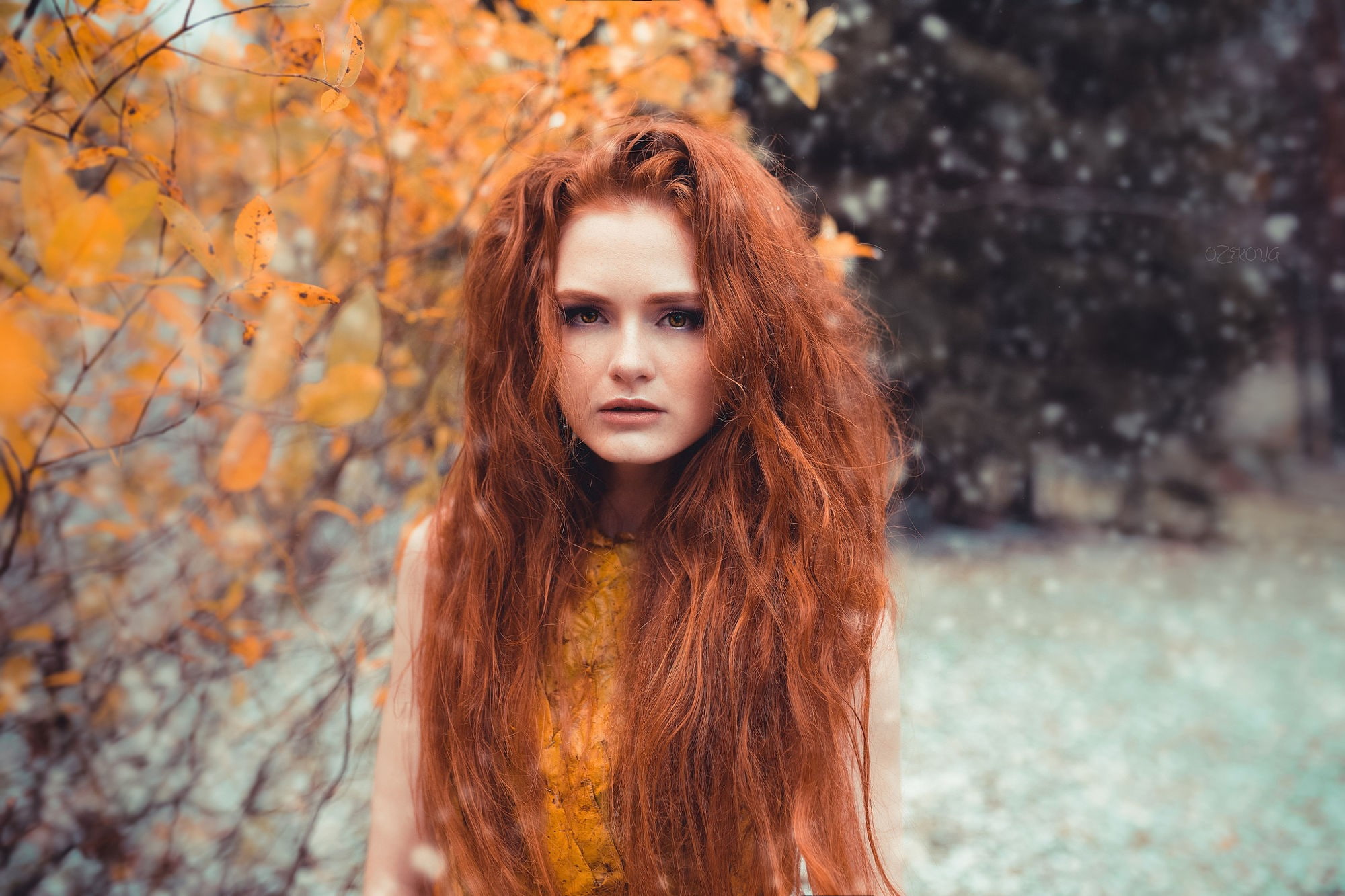 women outdoors, beauty, looking at camera, outdoors, adult, wavy hair, portrait, 1080P, contemplation, long hair, young adult, looking at viewer, tree, HD Wallpaper