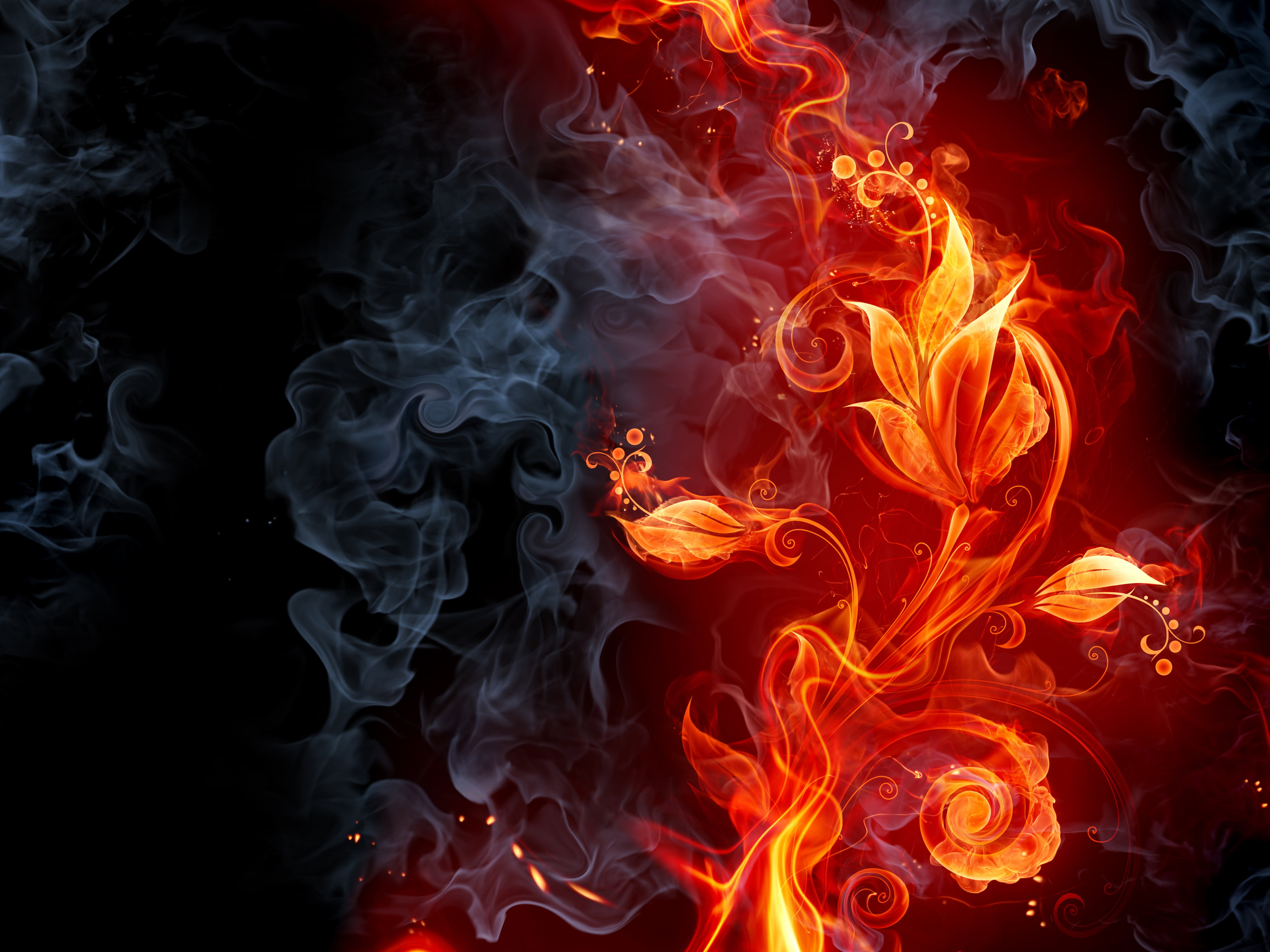 pattern, motion, art, vector, close-up, heat - Temperature, exploding, no people, shape, black, grey, orange, flower, red, 4K, hell, burning, warning sign, HD Wallpaper