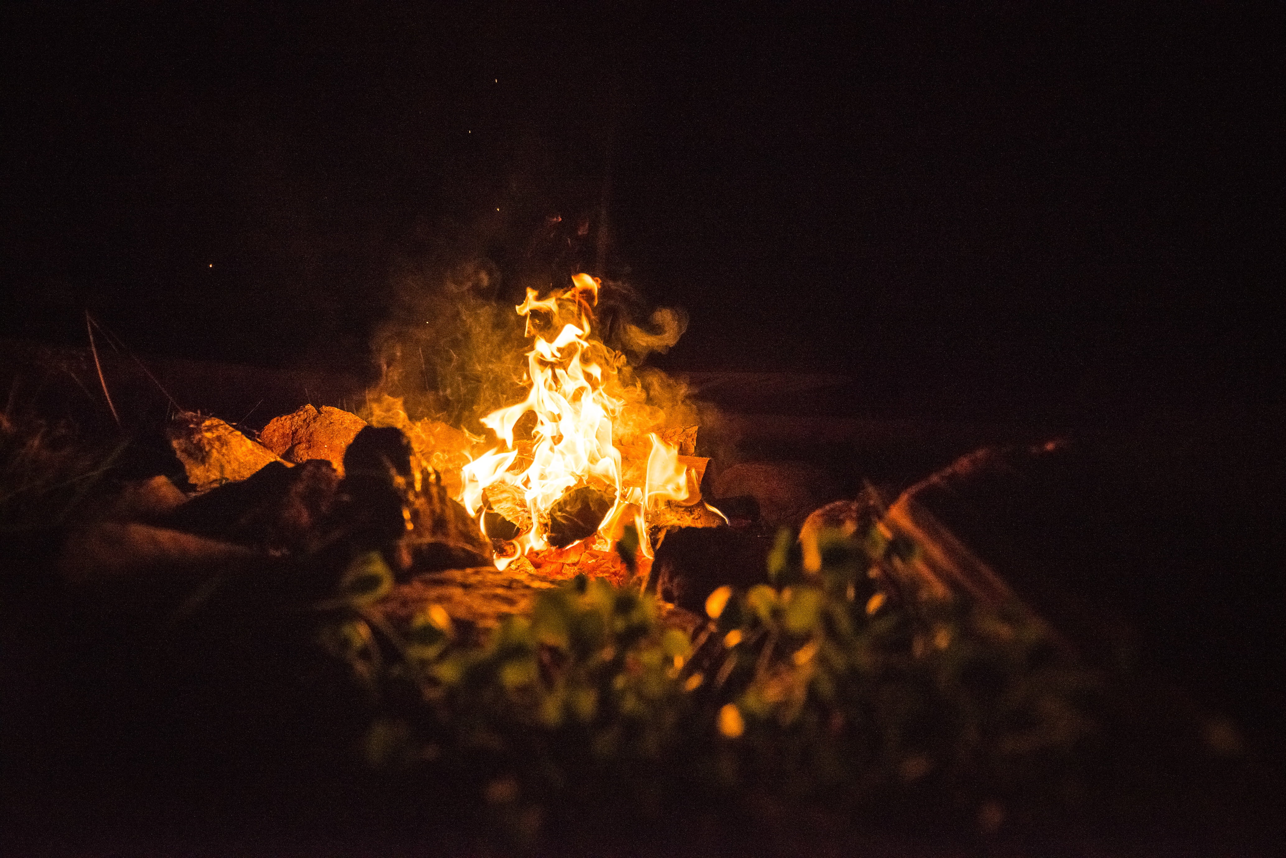 heat - temperature, camping, glowing, night, outdoors, nature, log, fire, wood - material, fire - natural phenomenon, motion, burning, flammable, bonfire, HD Wallpaper
