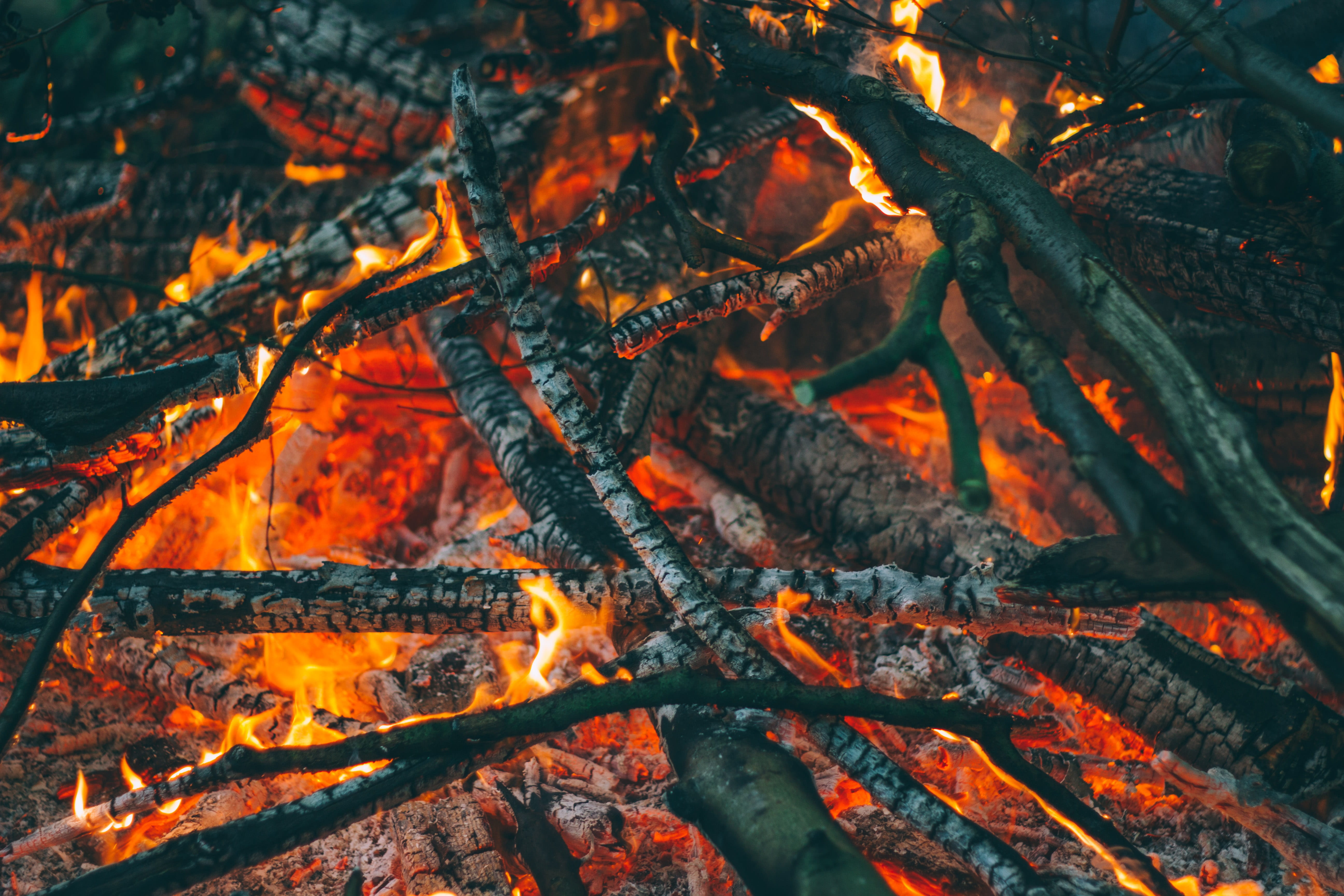 flame, campfire, fire, heat - temperature, wood, no people, 5K, fire - natural phenomenon, heat, live coal, ember, glowing, burning, log, orange color, HD Wallpaper