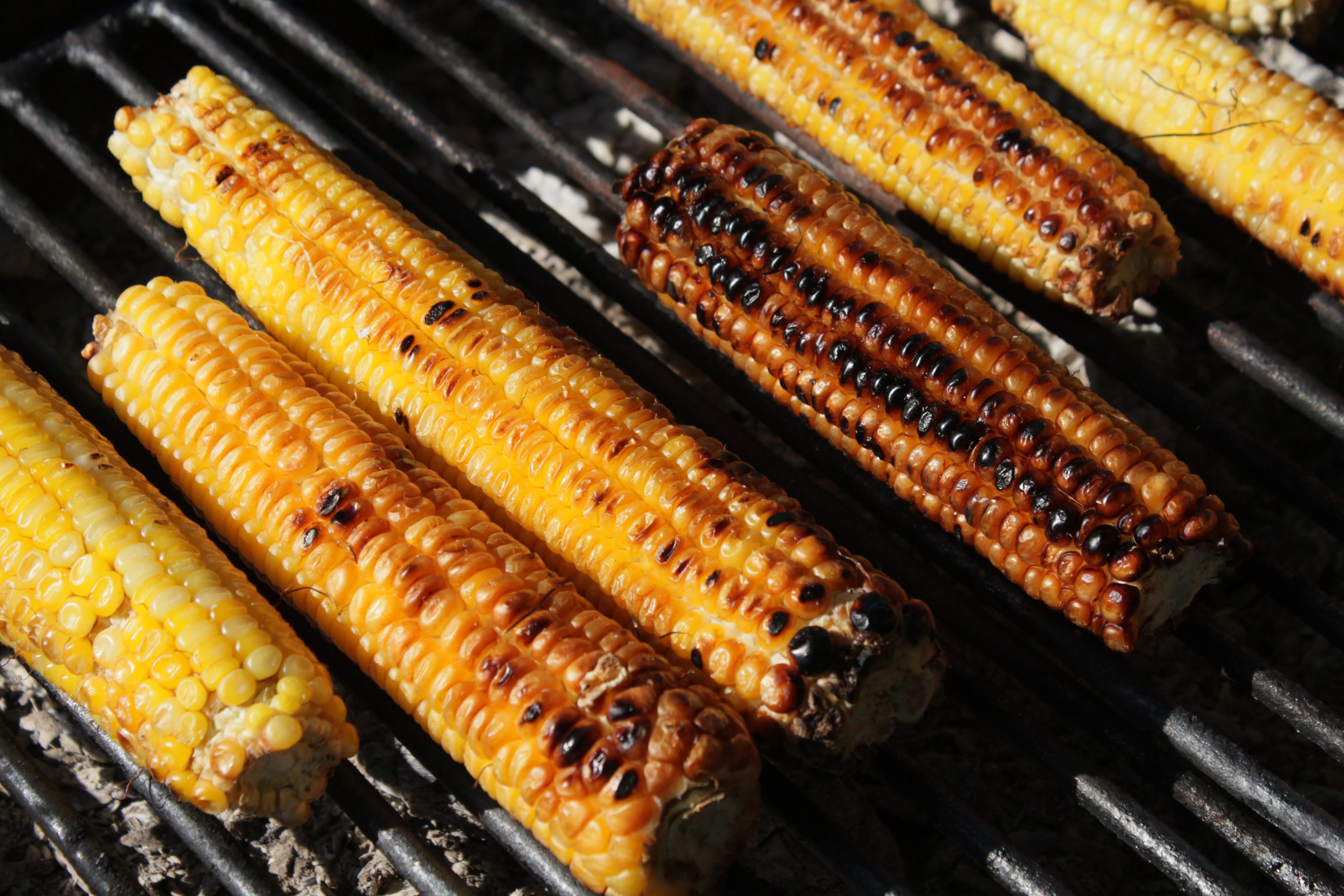 close-up, healthy eating, grilling, vegetable, meat, wellbeing, heat - temperature, barbecue, grill, freshness, food, outdoors, bBQ, high angle view, no people, HD Wallpaper