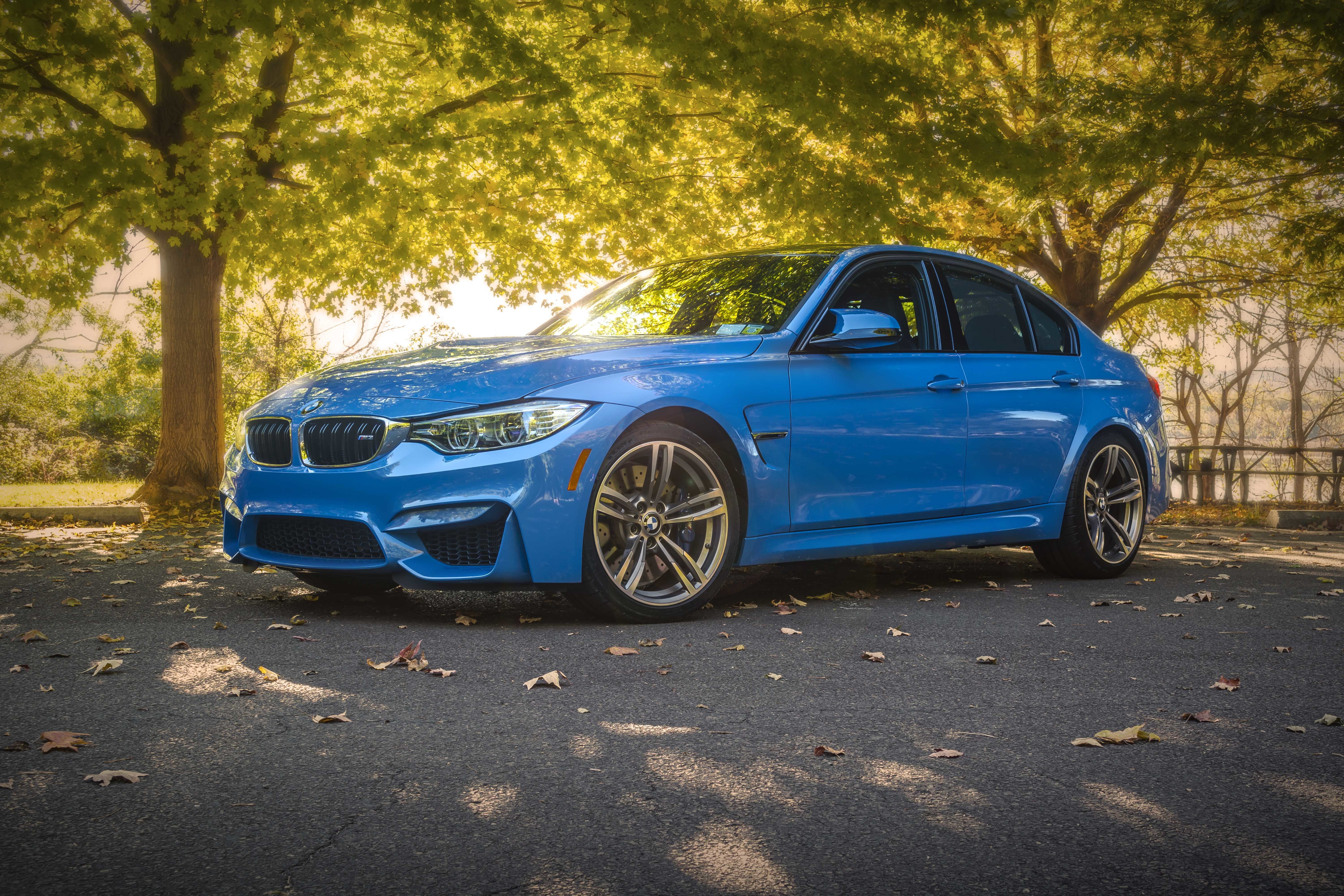 park, sun, the F80, lake, table, blue, bmw, trees, bench, BMW M3, m, street, 5K, HD Wallpaper