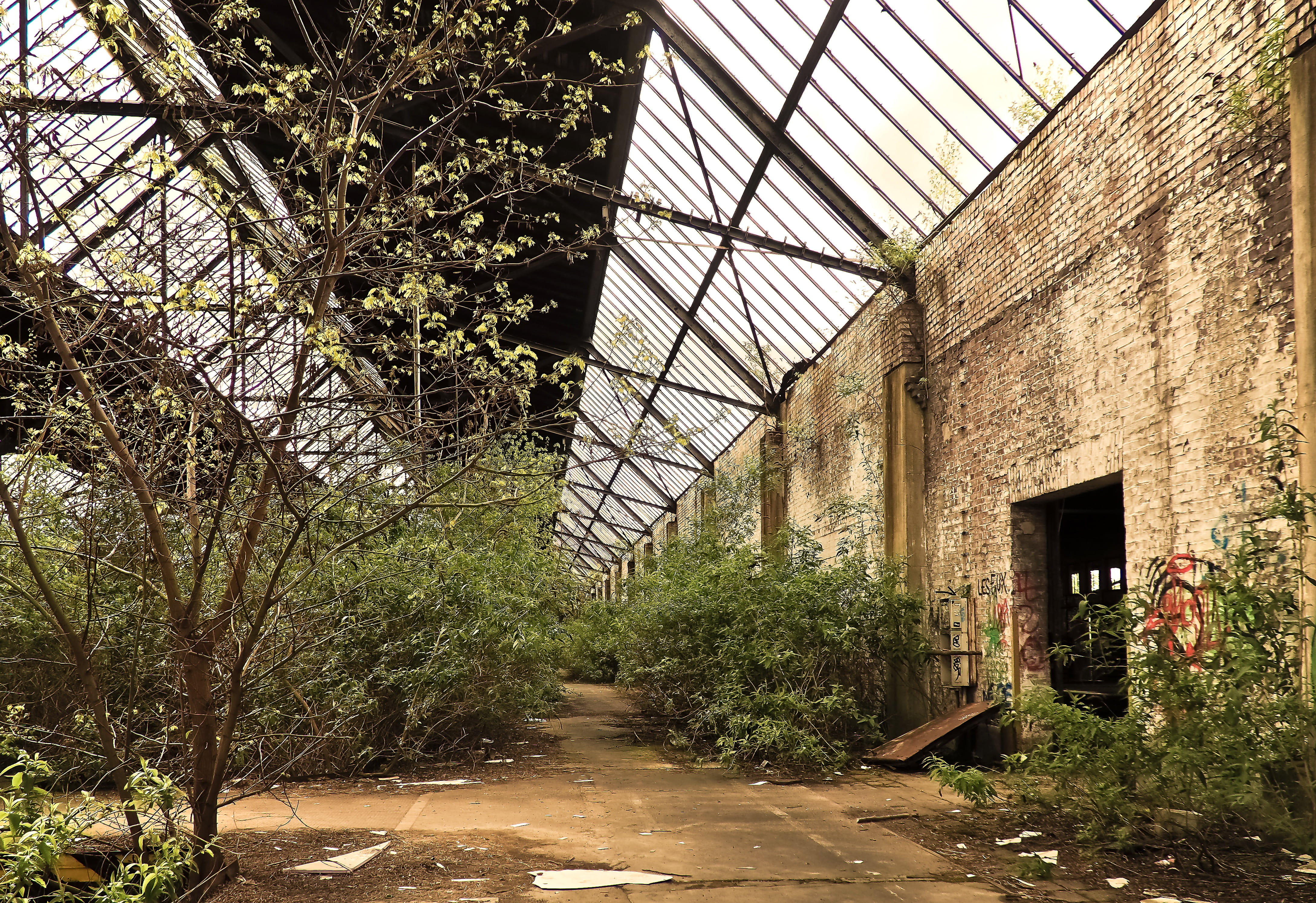 forget, train, green, leave, abandoned, sky, old, passed, train hall, finiteness, warehouse, walls, tree, sunlight, lost places, plant, unused, old building, HD Wallpaper