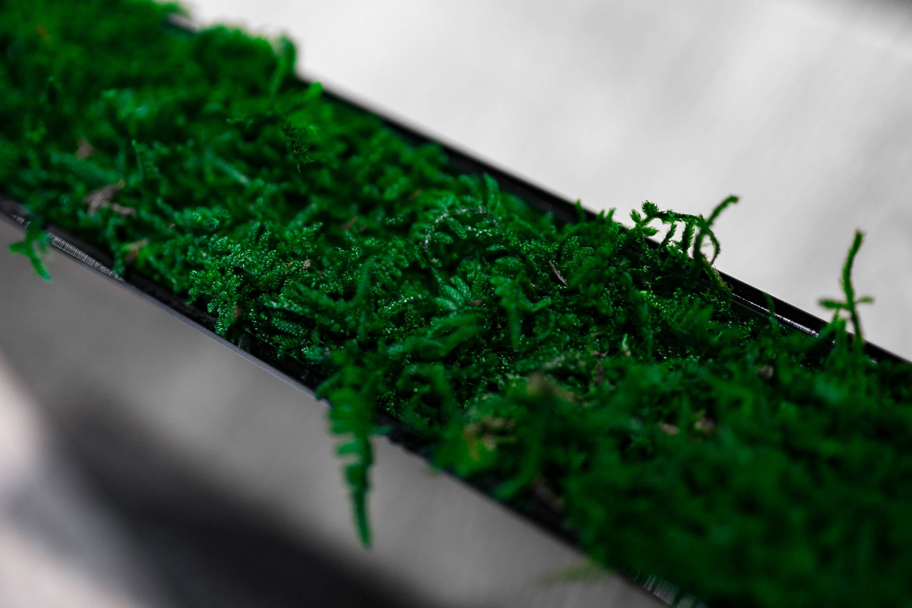 pot, plant part, healthy eating, 2K, nature, food, flowerpot, flowerpots, close-up, macro, exposition, growth, Plants, herb, food and drink, indoors, green Color, HD Wallpaper