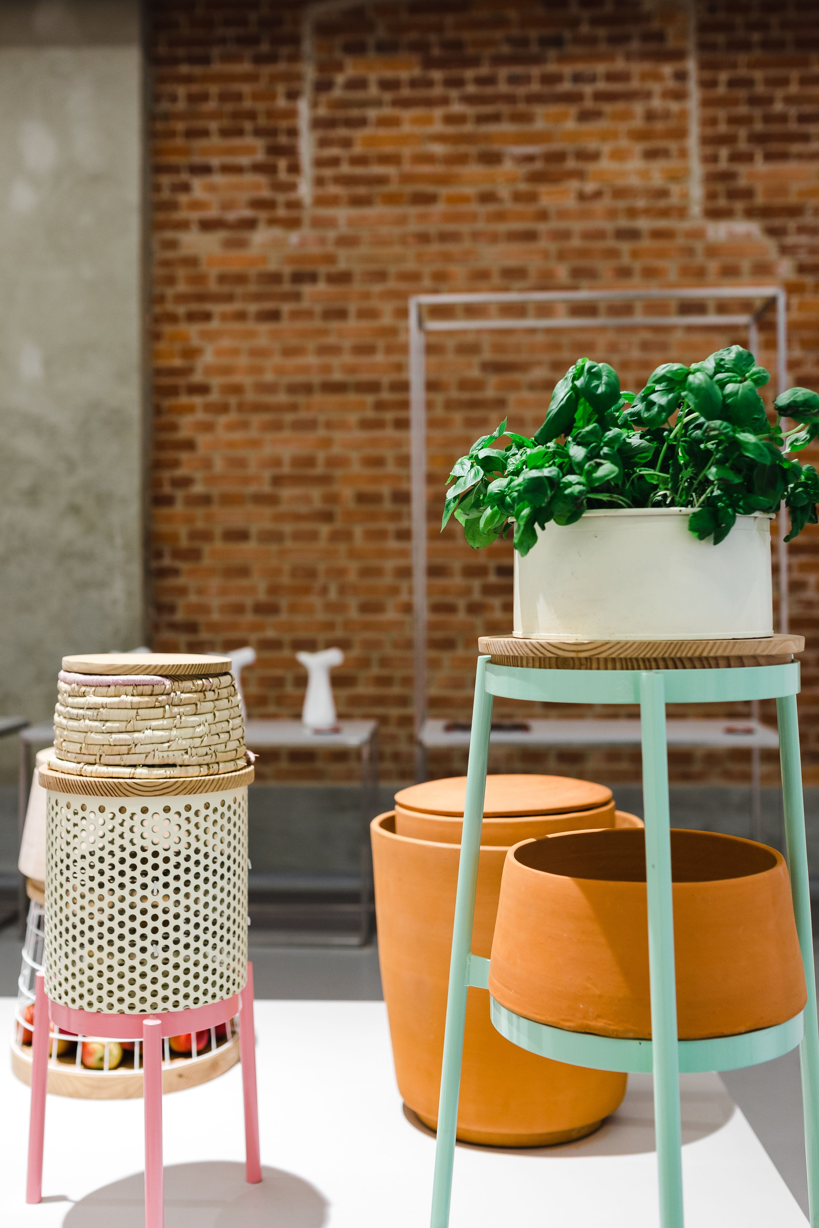 seat, table, chair, plant, brick, pot, flowerpots, flowerpot, exposition, restaurant, outdoors, wall - building feature, Plants, herb, no People, healthy eating, Phone HD Wallpaper