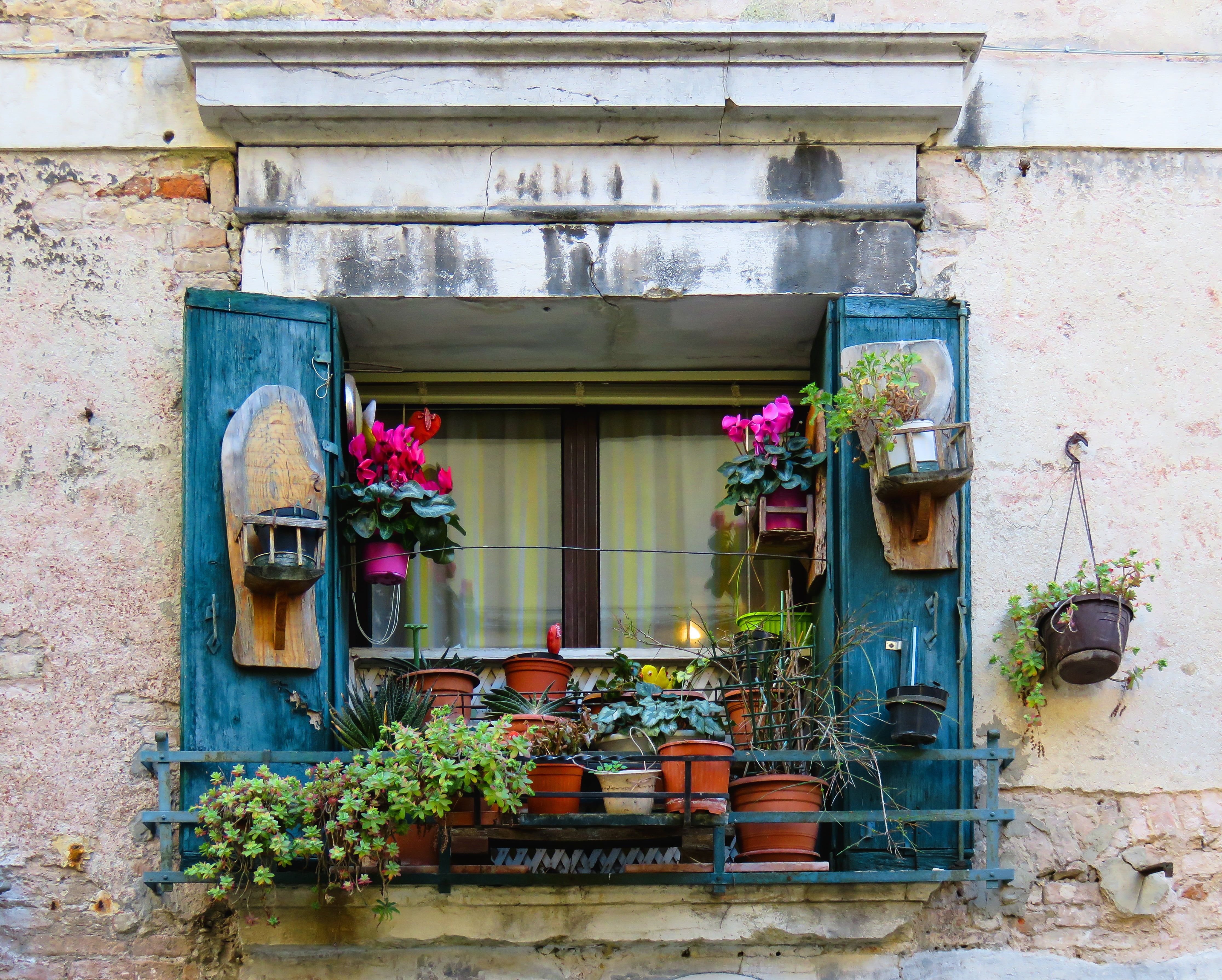 assorted, flower Pot, facade, built structure, window, residential district, no people, outdoors, street, plants, 4K, day, italy, flowerpot, shutter, growth, HD Wallpaper