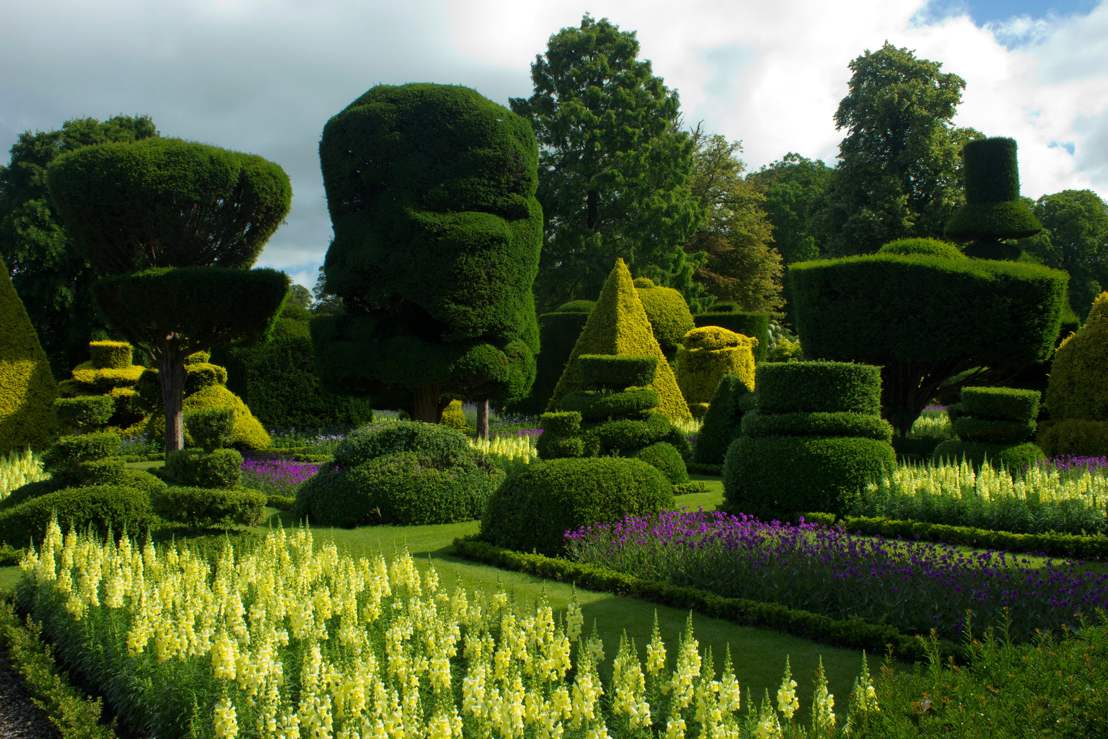 landscape, grass, topiary, flowering plant, day, growth, garden, plant, purple, tranquility, flower bed, green, landscaped, bodnant gardens wales, outdoors, HD Wallpaper
