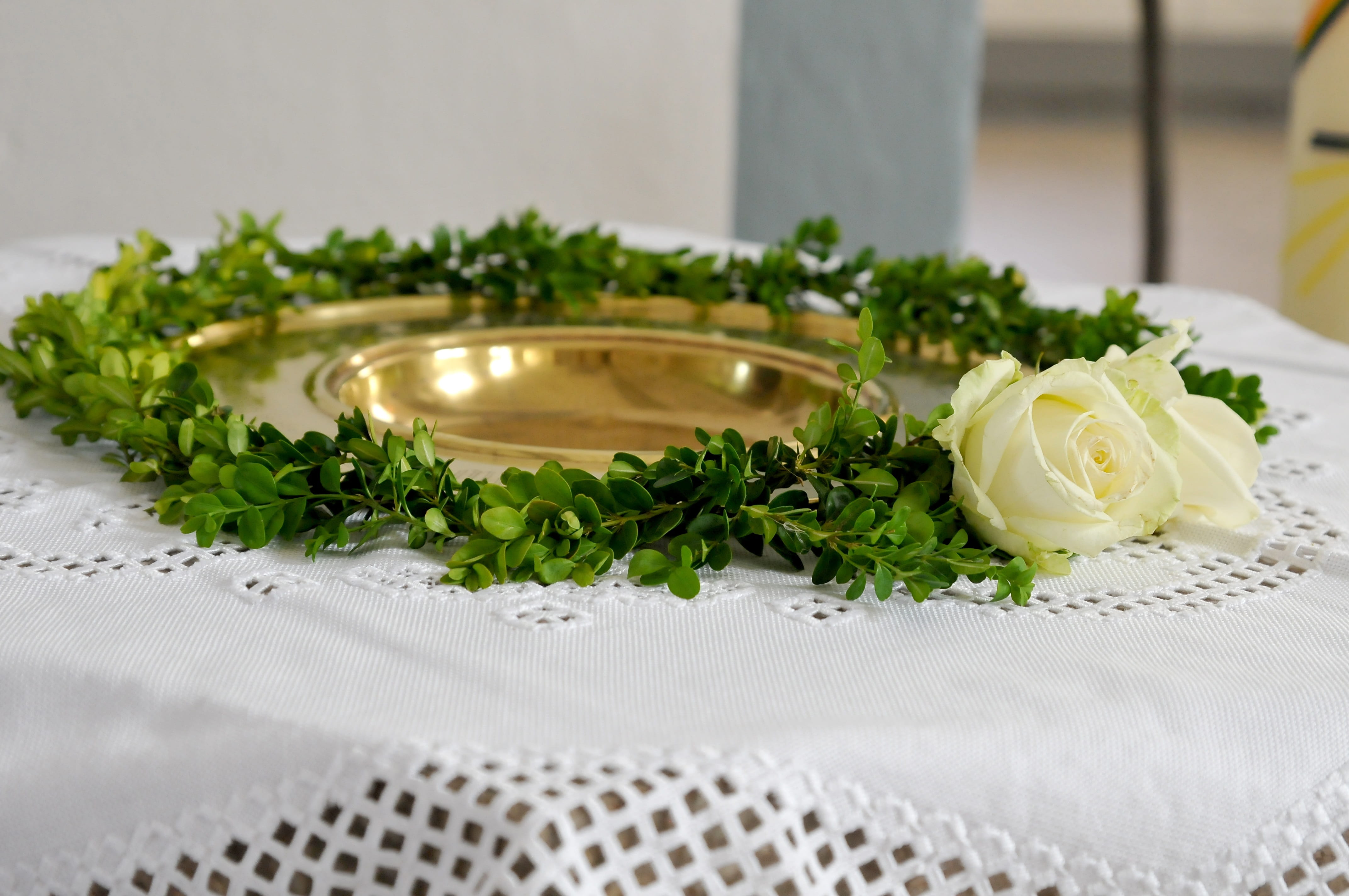 indoors, selective focus, beauty in nature, food, food and drink, flower arrangement, close-up, wedding, rose, green color, flower, flower head, 4K, event, HD Wallpaper