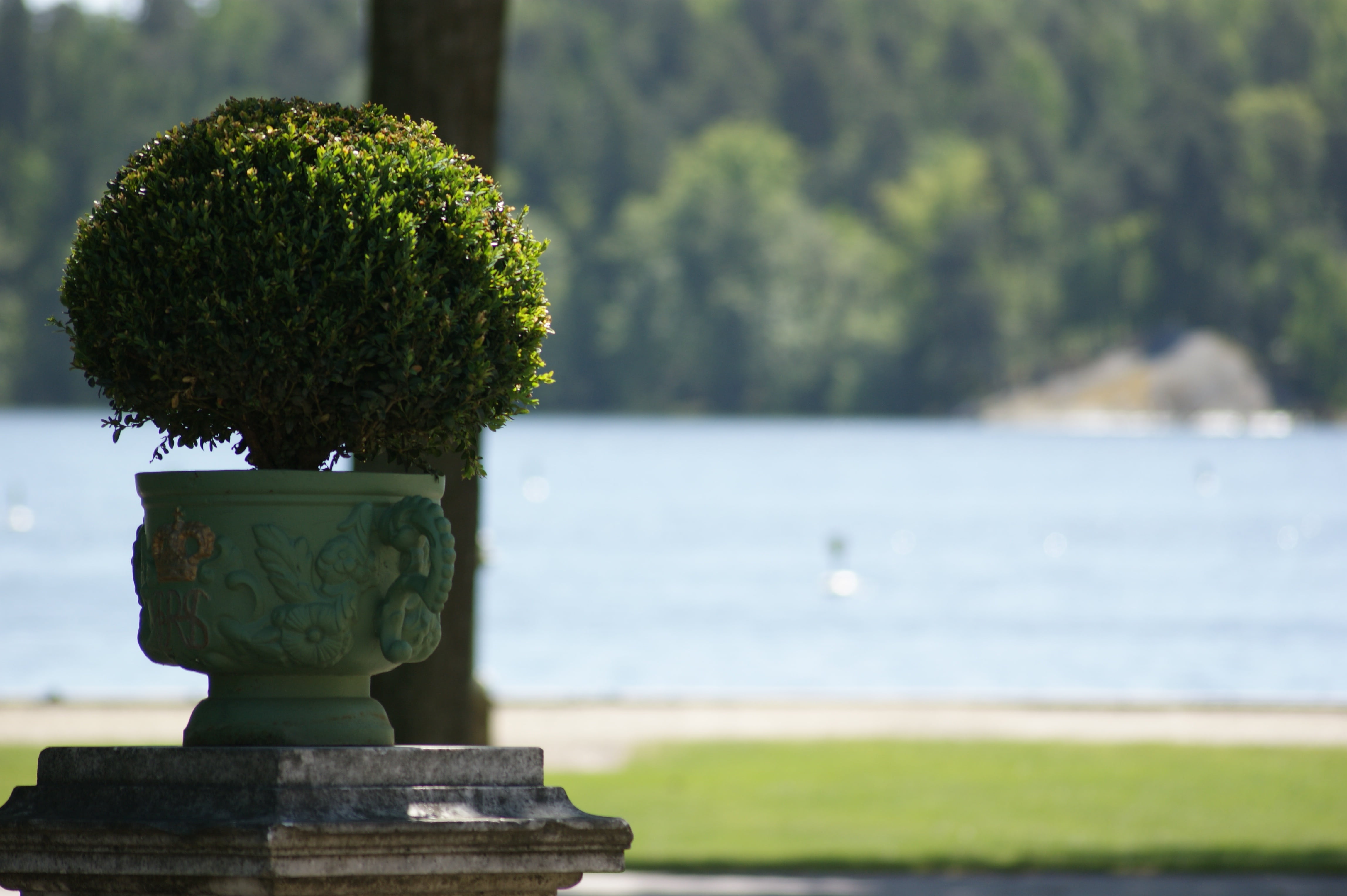 4K, tree, art and craft, sweden, boxwood, hedge, close-up, scenics - nature, beauty in nature, day, sunlight, no people, water, park, decorative urn, green color, HD Wallpaper