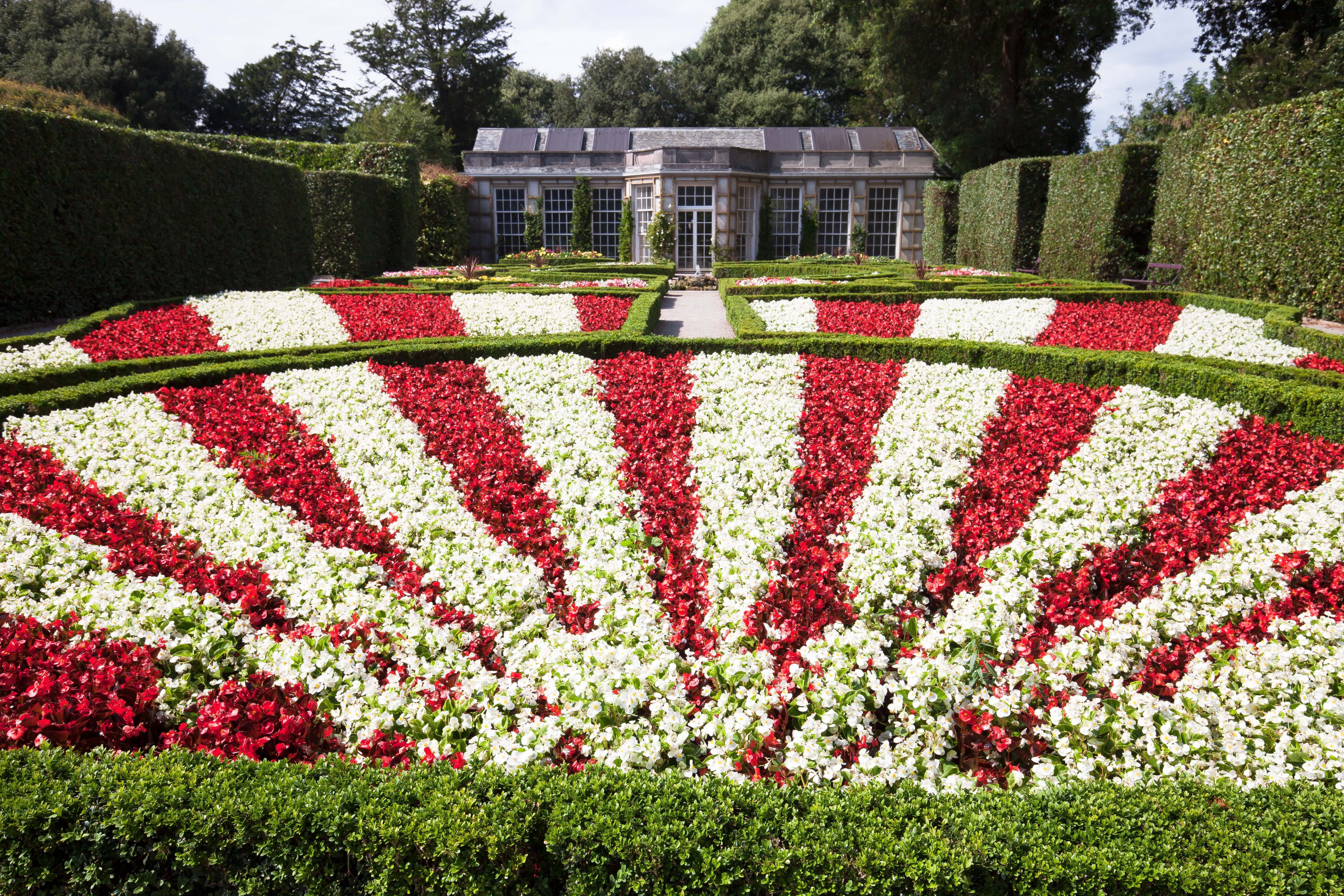 flora, flowerbed, no people, Garden, plant, boxwood, green Color, freshness, white, fragility, day, ornamental Garden, patriotism, sunlight, Flowers, architectural garden, HD Wallpaper