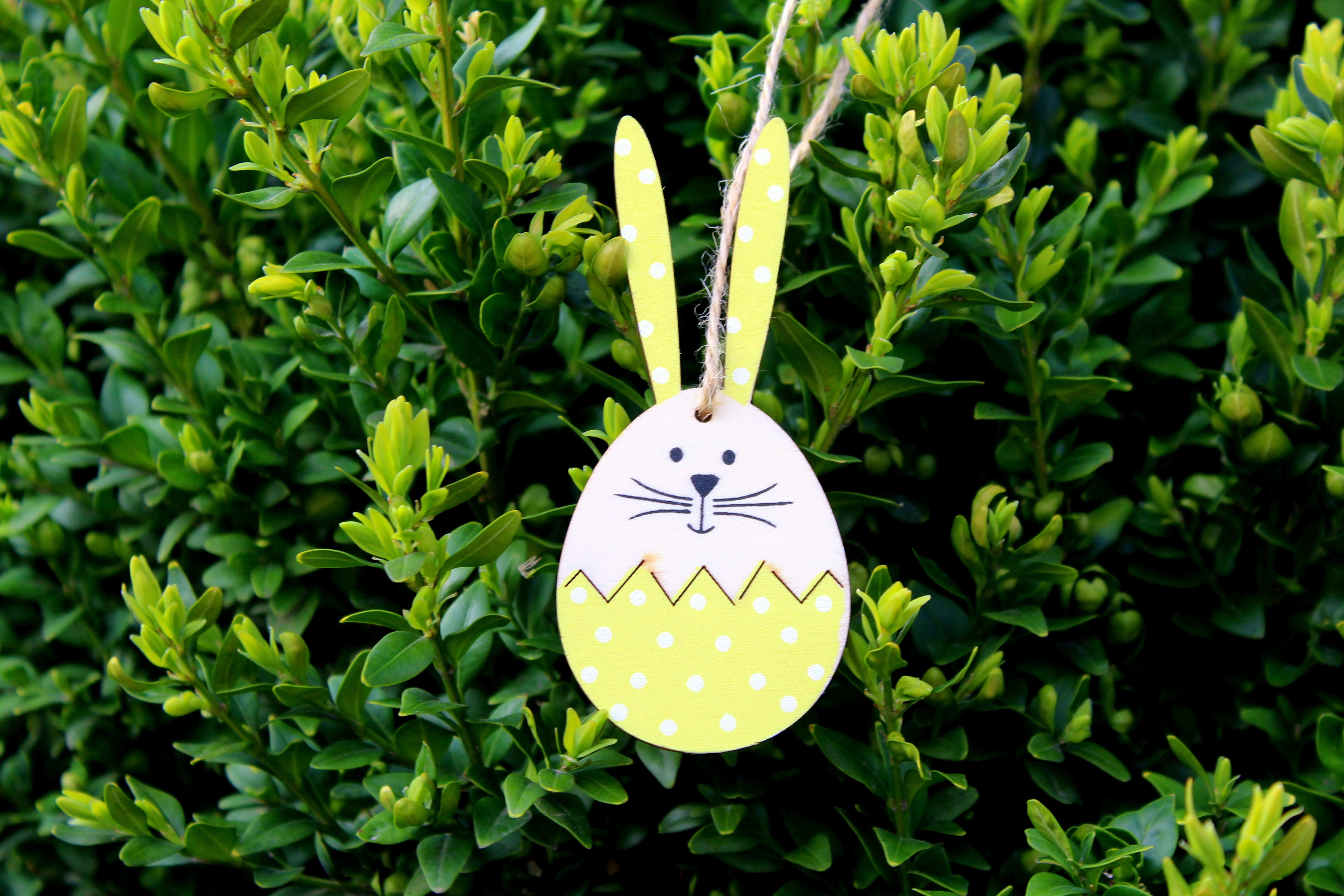 animal, animal themes, pendant, representation, growth, boxwood, plant part, freshness, easter holidays, outdoors, egg, easter egg, colorful, close-up, HD Wallpaper