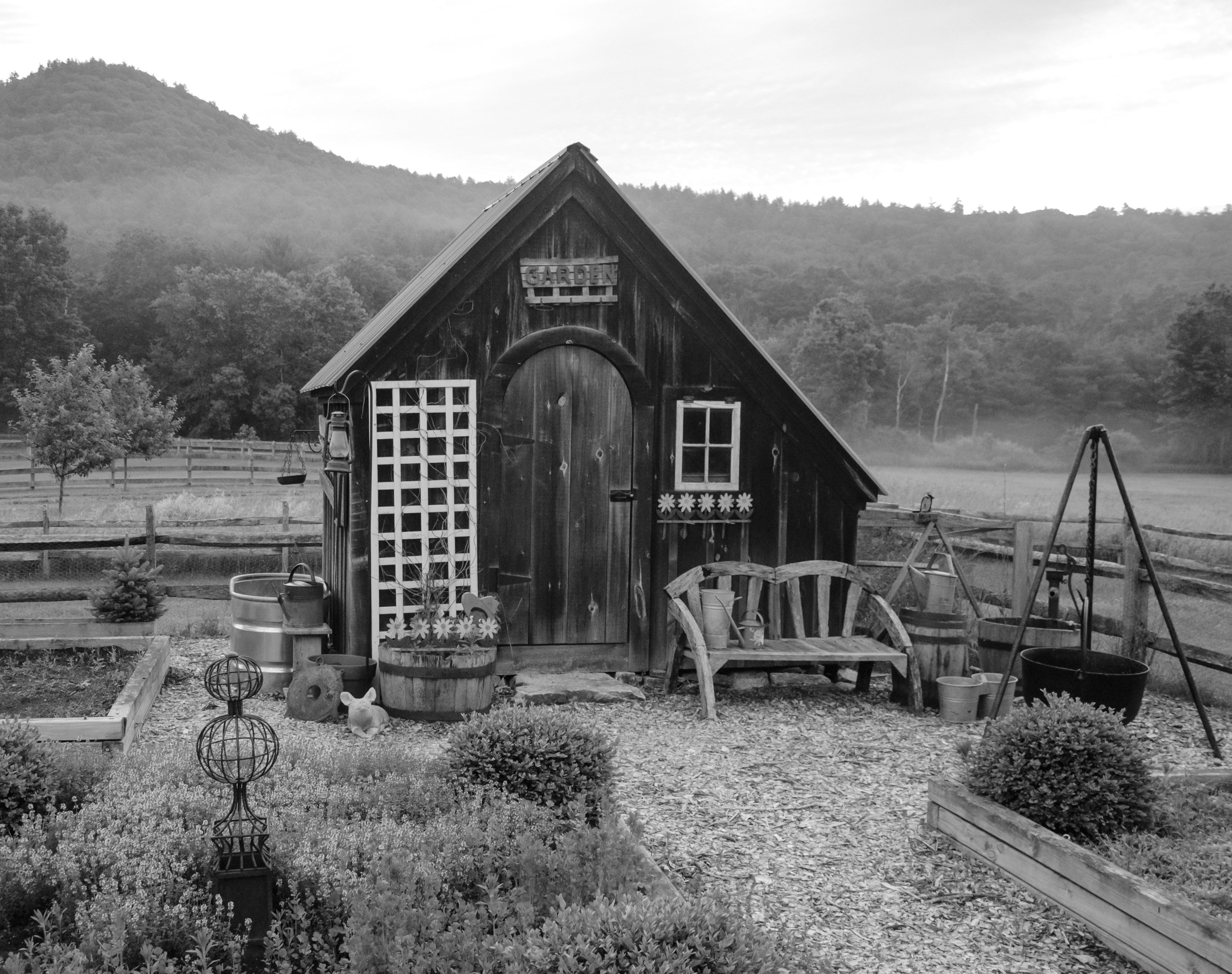 trellis, nature, pig, gardening, garden shed, farm, lattice, building, plant, black and white, building exterior, day, mountain, water, old, no people, HD Wallpaper
