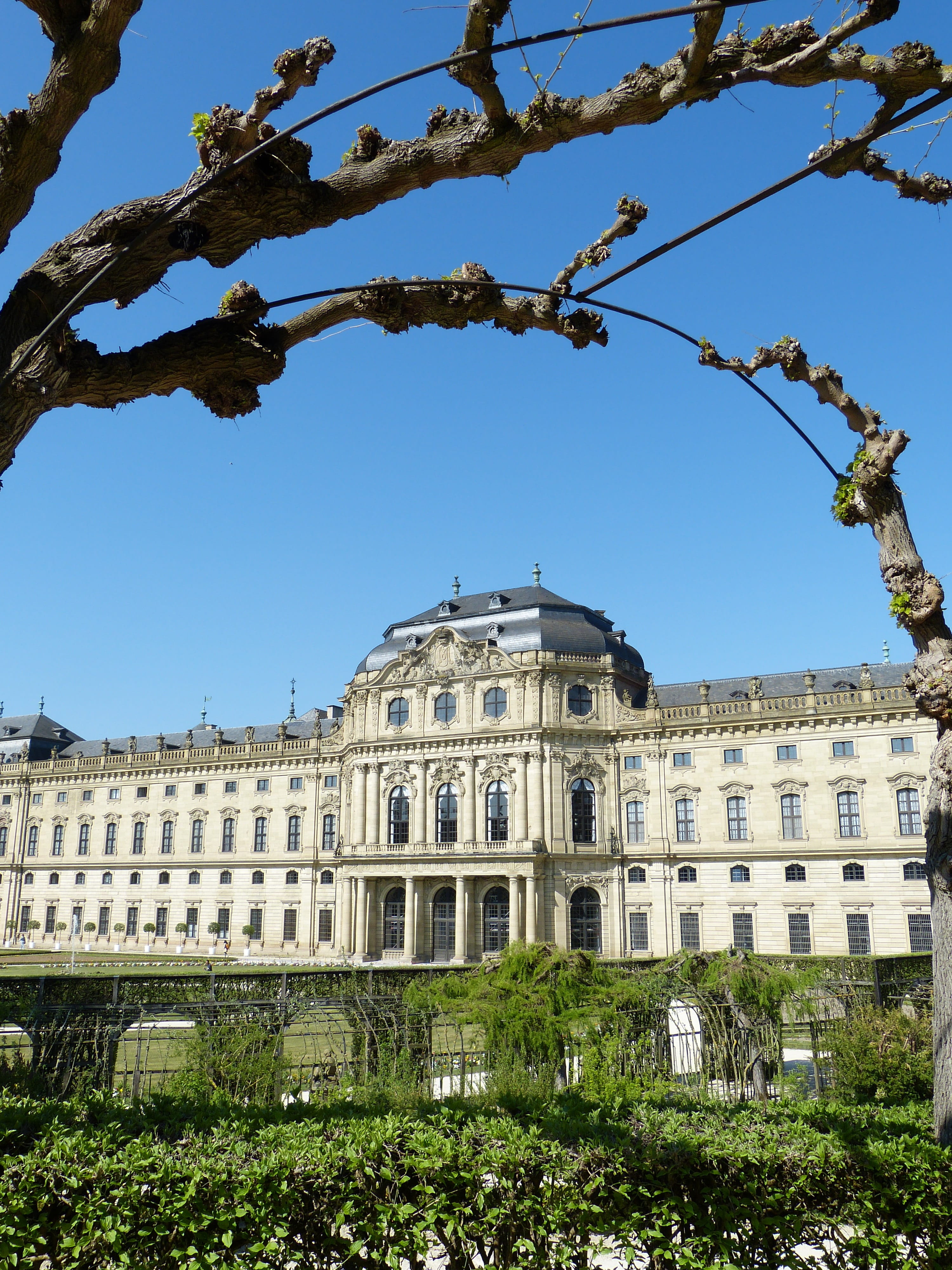 grass, palace, french garden, facade, growth, Bavaria, baroque, hedge, plant, tree, outdoors, low angle view, day, history, house, sunlight, boxwood, 4K, Phone HD Wallpaper