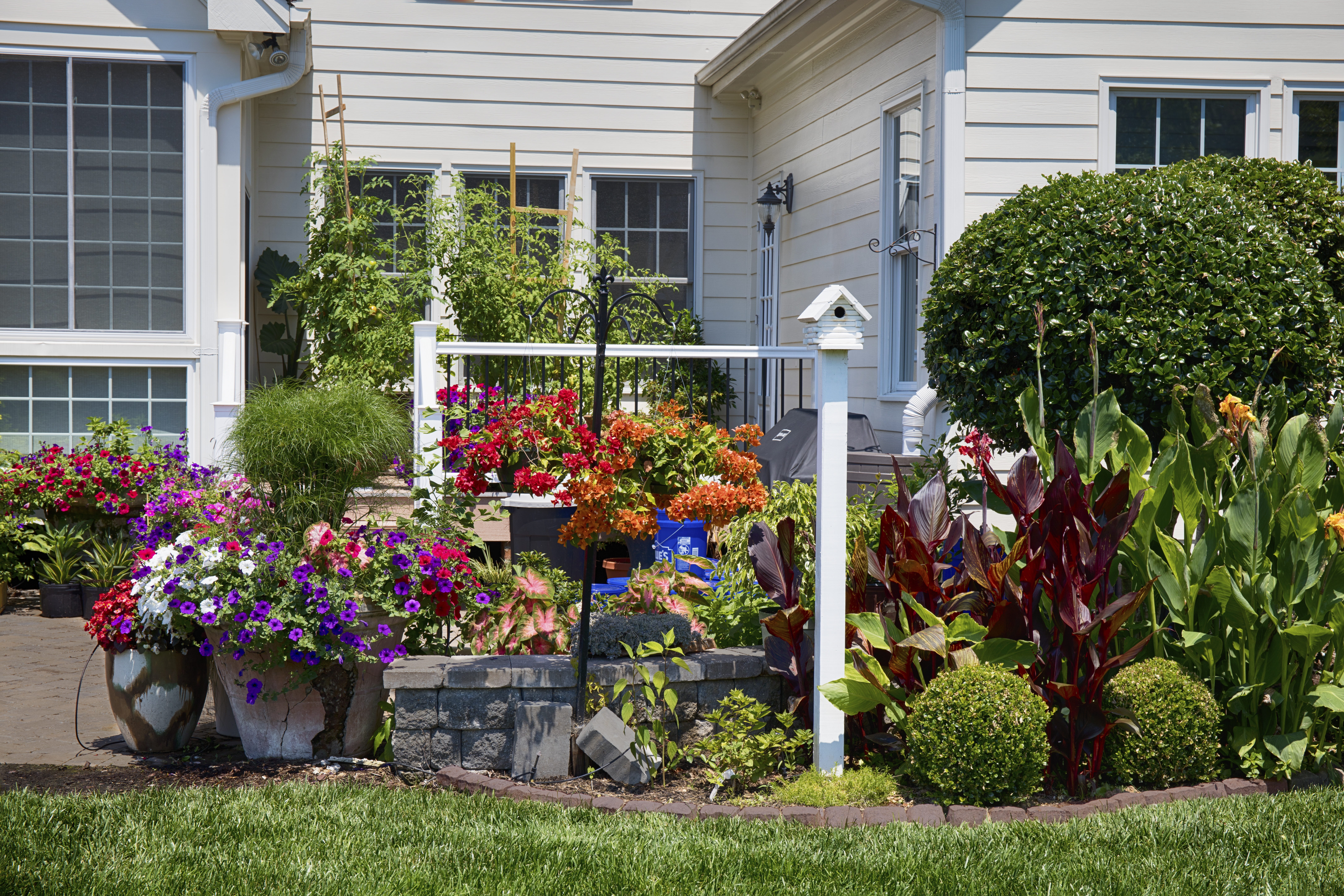 no people, flowering plant, day, papyrus, potted plant, house, vulnerability, architecture, Flowers, building exterior, grass, outdoors, bush, green, trellis, HD Wallpaper