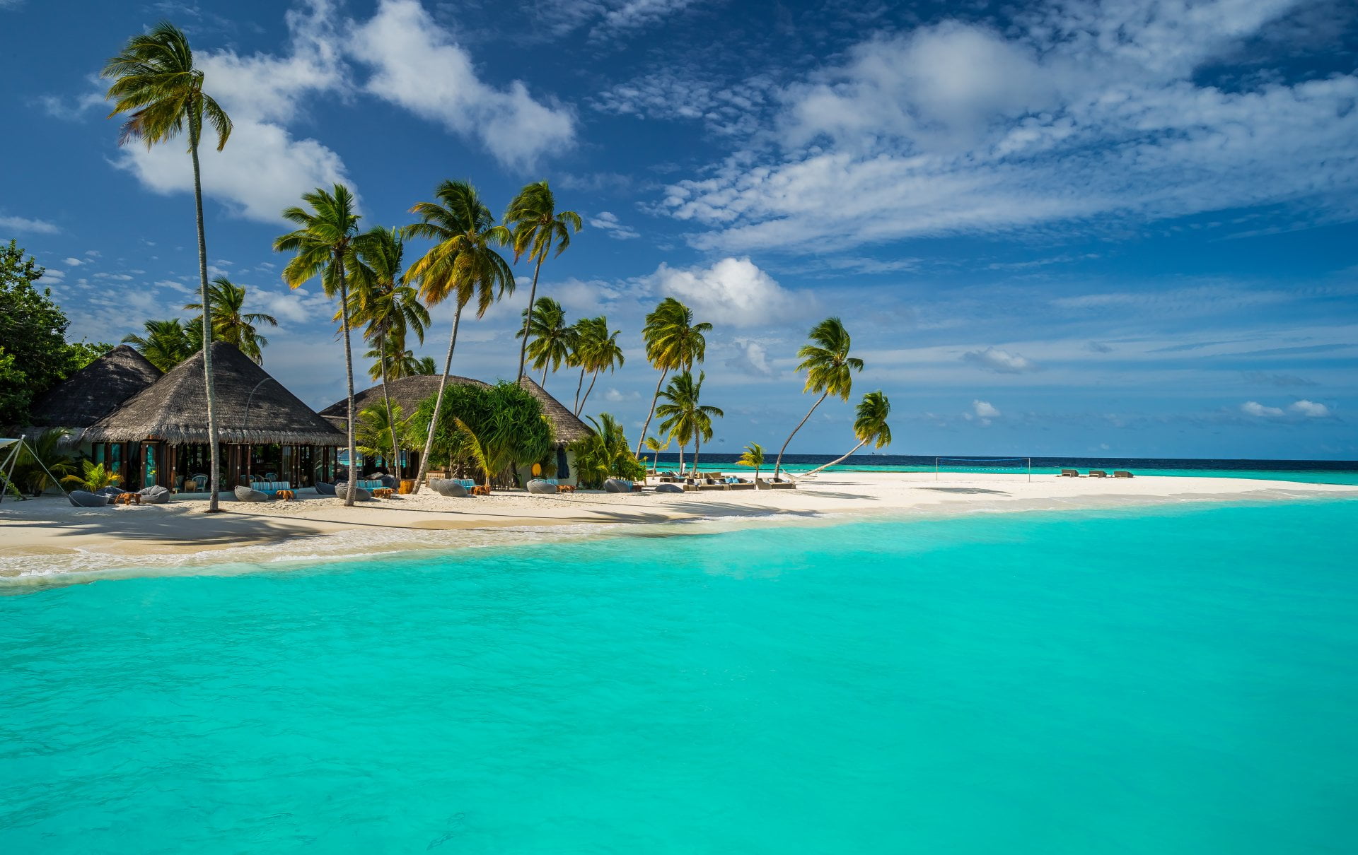 tranquil scene, tree, nature, blue, beauty in nature, Tropical, Maldives, turquoise colored, Constance Halaveli Resort, Palm Tree, Tropics, plant, land, HD Wallpaper