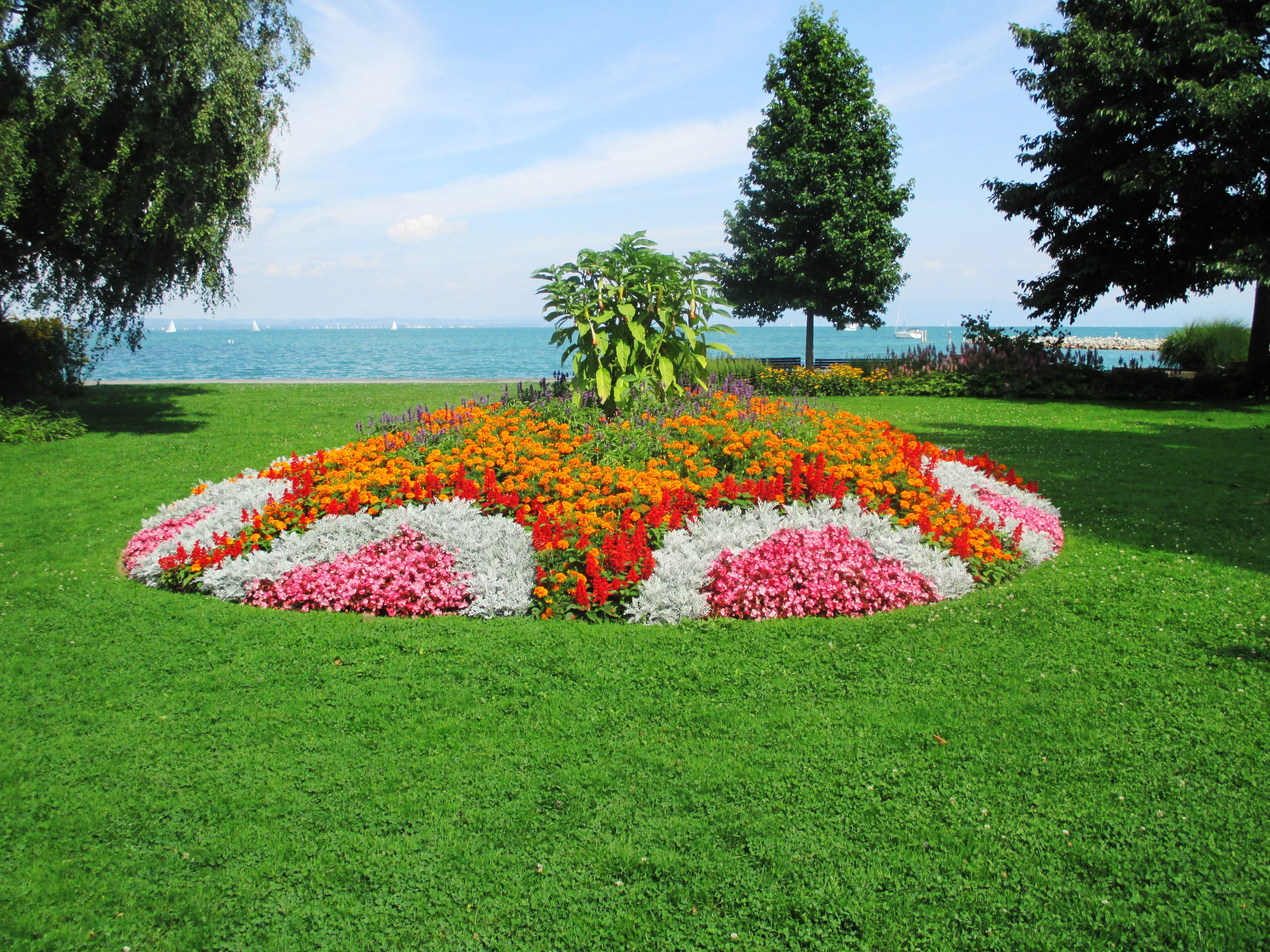 Flowers, romanshorn, switzerland, growth, Lake Constance, sky, freshness, park - man made space, flowering plant, flower head, park, Flower Island, scenics - nature, HD Wallpaper