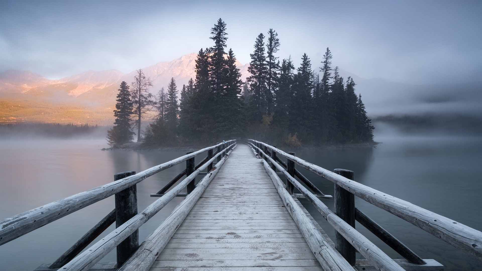 tranquility, wooden, plant, island, nature, canada, lake, water, outdoors, reflection, 1080P, pyramid, tree, wood - material, beauty in nature, tranquil scene, HD Wallpaper