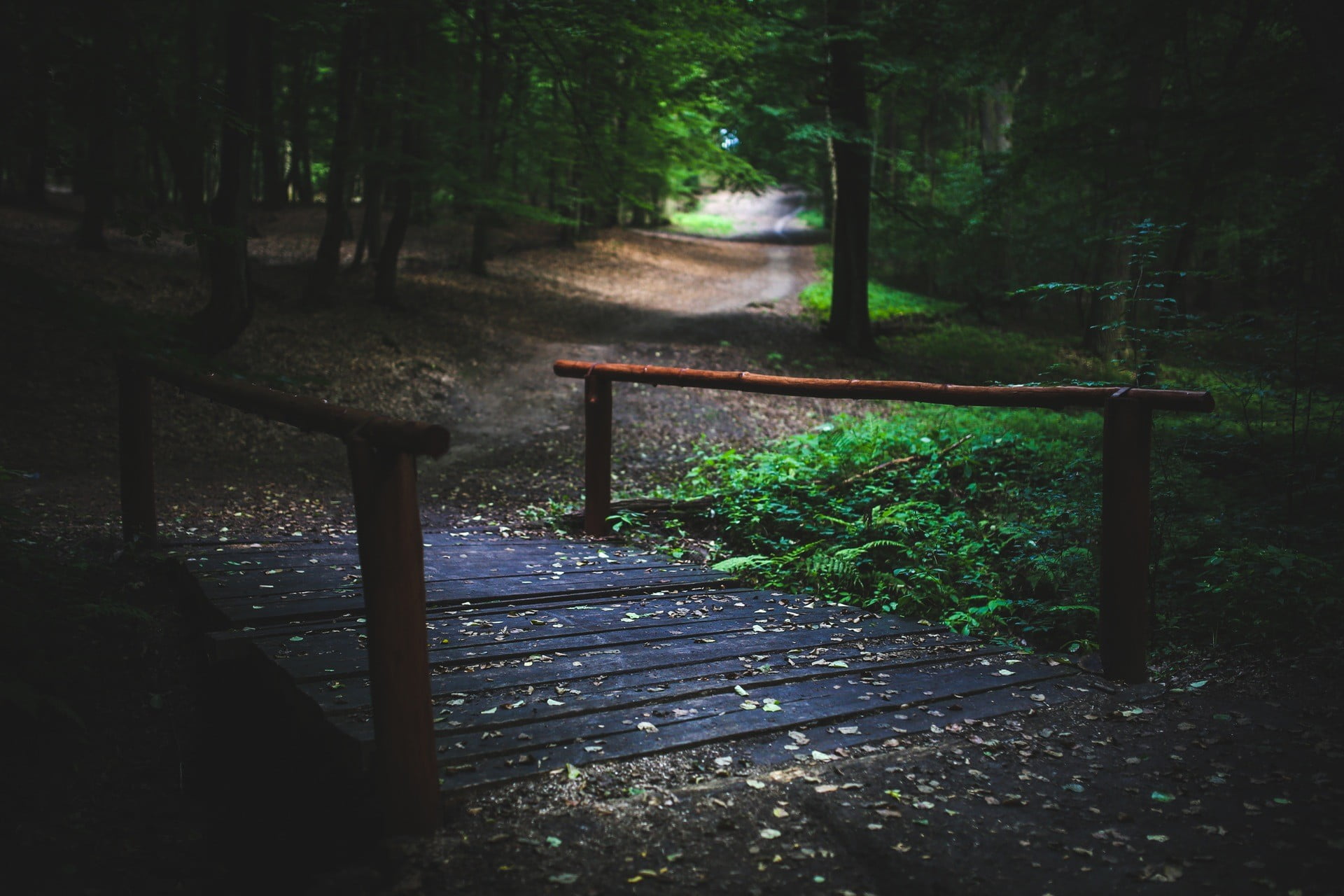 direction, fall, bench, no people, seat, beauty in nature, trees, wooden, green color, park, park bench, land, brown, day, wood - material, outdoors, nature, HD Wallpaper
