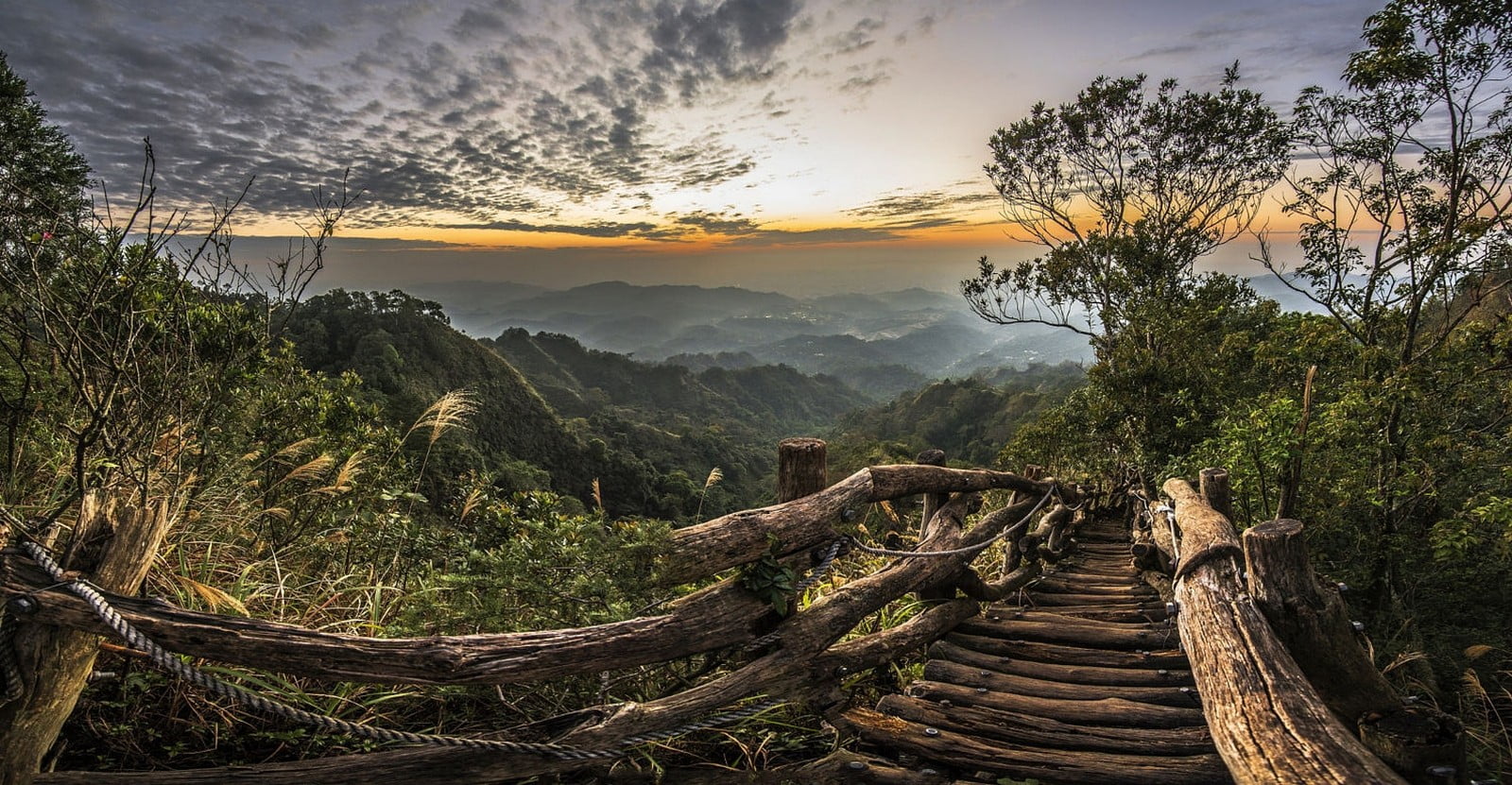 land, tree, bridge, sunset, plant, growth, Taiwan, walkway, architecture, wooden, no people, mist, environment, cloud - sky, path, tranquility, brown, 720P, HD Wallpaper