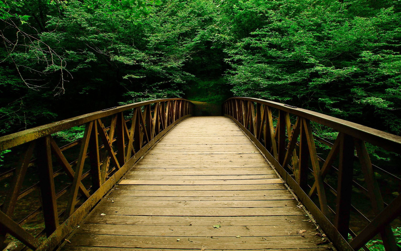 720P, wooden bridge, wilderness, bridge, nature, path, HD Wallpaper