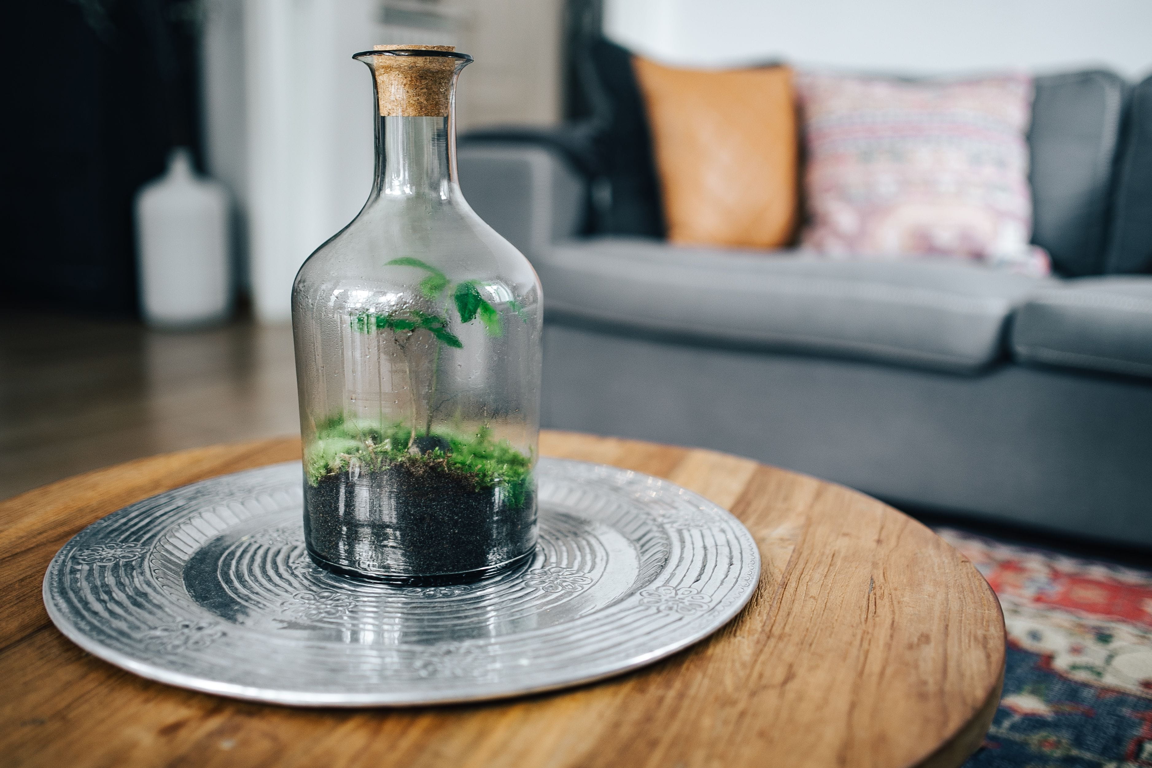 close-up, table, wood - material, glass, 2K, no People, nature, clean, domestic Room, plate, scandinavian, furniture, water, rug, decorations, Dutch, container, HD Wallpaper