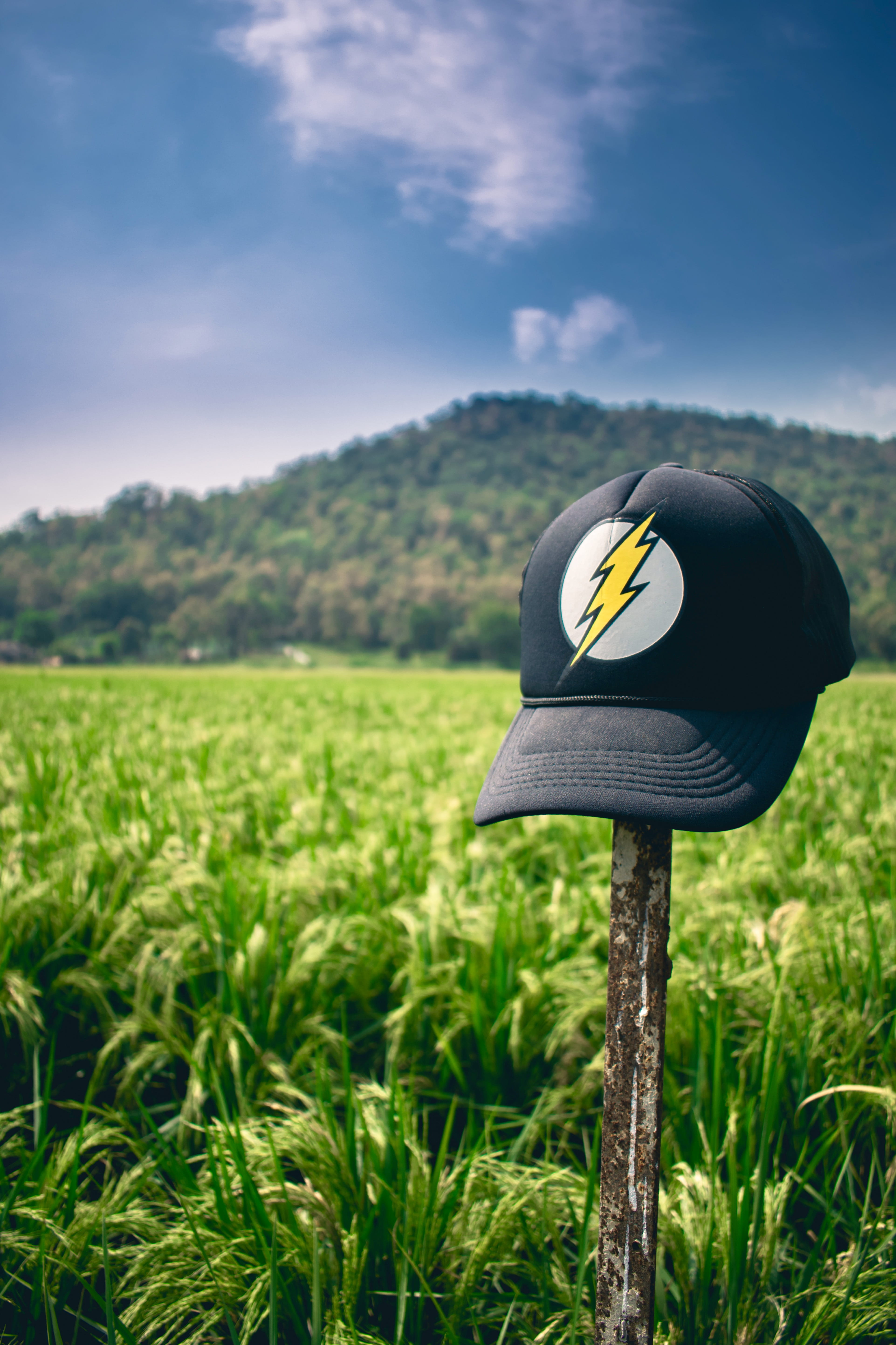 growth, vegetation, focus on foreground, land, soil, #portaitphotography #wallpaper #hdwallpaper #iphonewallpaper #background #iphonebackground, beauty in nature, Phone HD Wallpaper