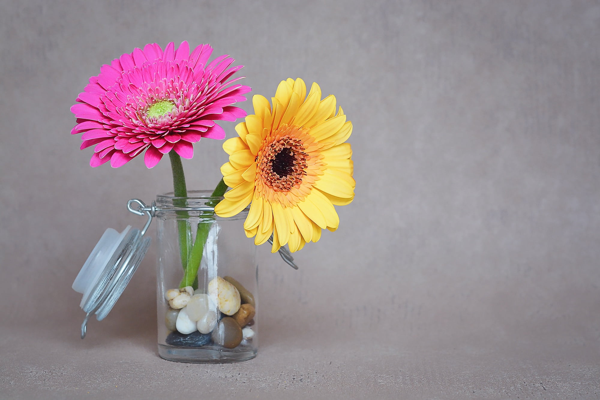 spring, sunflower, glass, jar, freshness, mason jar, deco-stones, gerbera, decoration, plant, bottle, indoors, text dom, petaled, container, nature, petal, HD Wallpaper