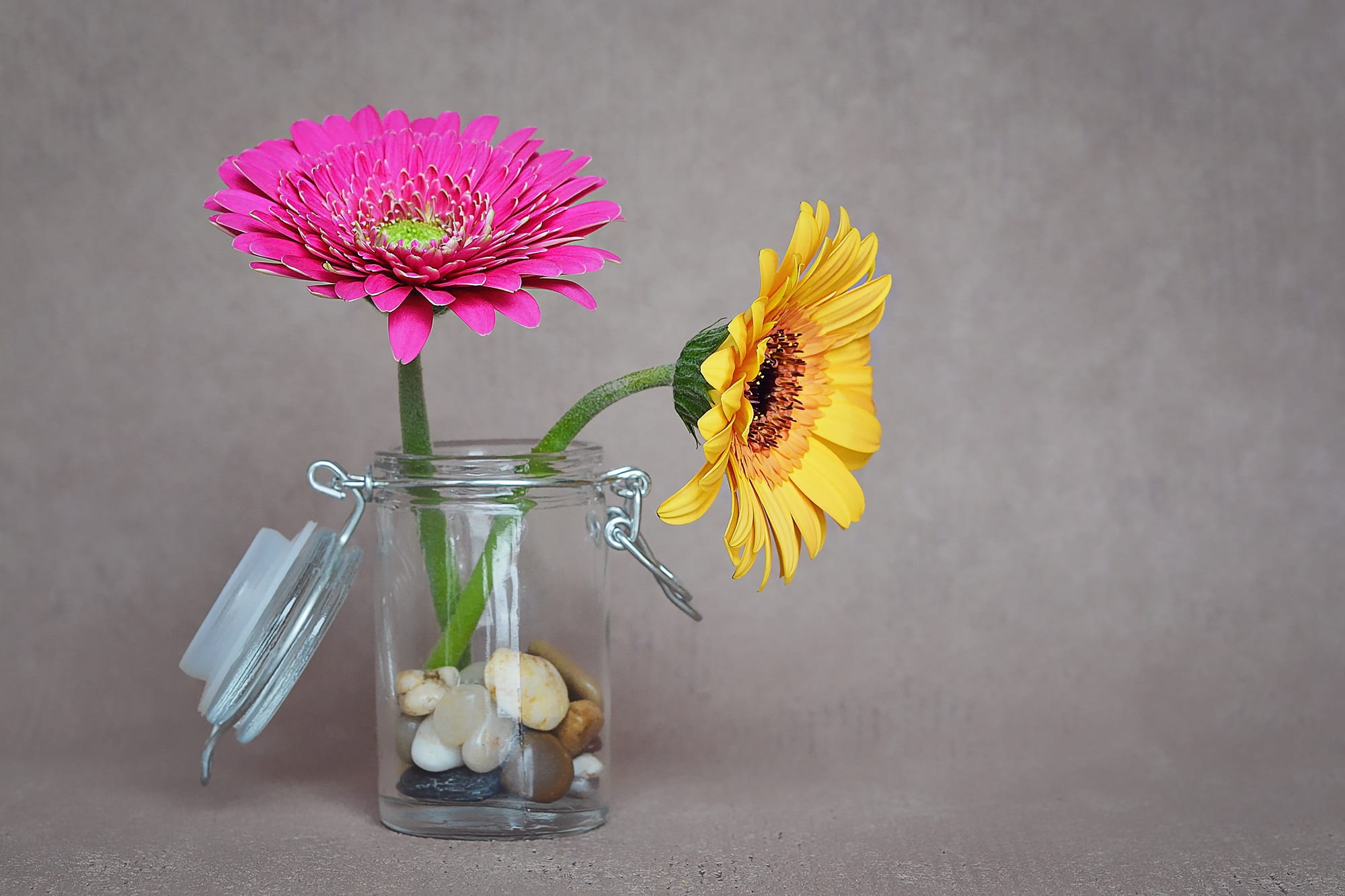 deco, cut flowers, flower arrangement, sunflower, purple, table, daisy, flowers, two, close, flower head, gerbera, freshness, deco-stones, vulnerability, HD Wallpaper