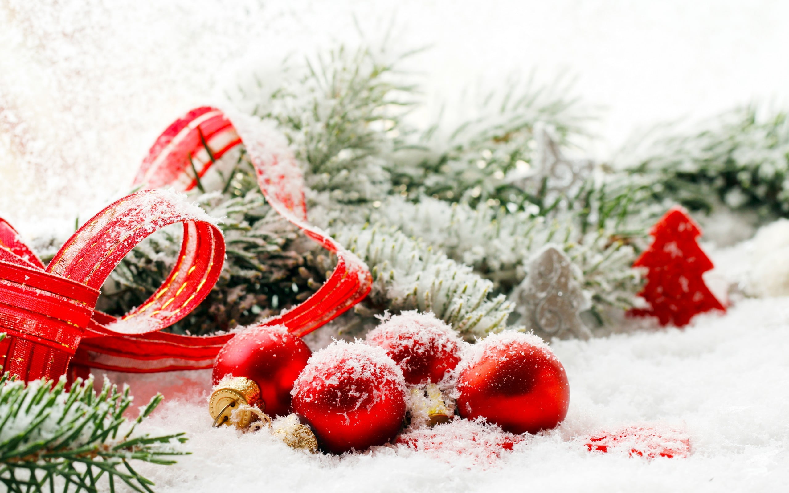 Christmas, coniferous tree, fruit, christmas tree, fir tree, Christmas ornaments, holiday, christmas ornament, baulbes, needle - plant part, celebration, HD Wallpaper