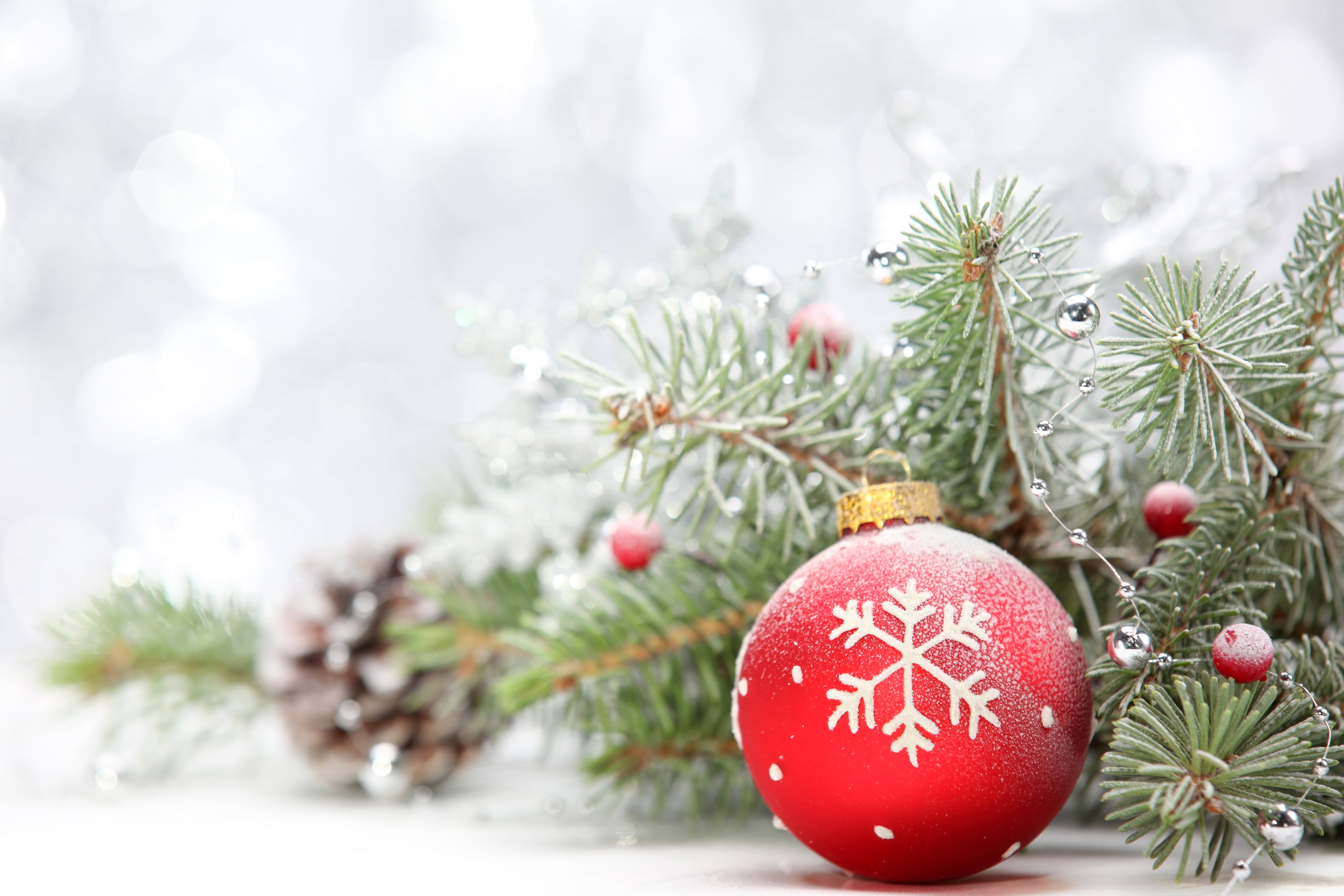 bright, branches, ornate, frost, event, decor, holiday - event, needle - plant part, winter, plant, white, outdoors, New year, needles, red, cultures, christmas Tree, HD Wallpaper