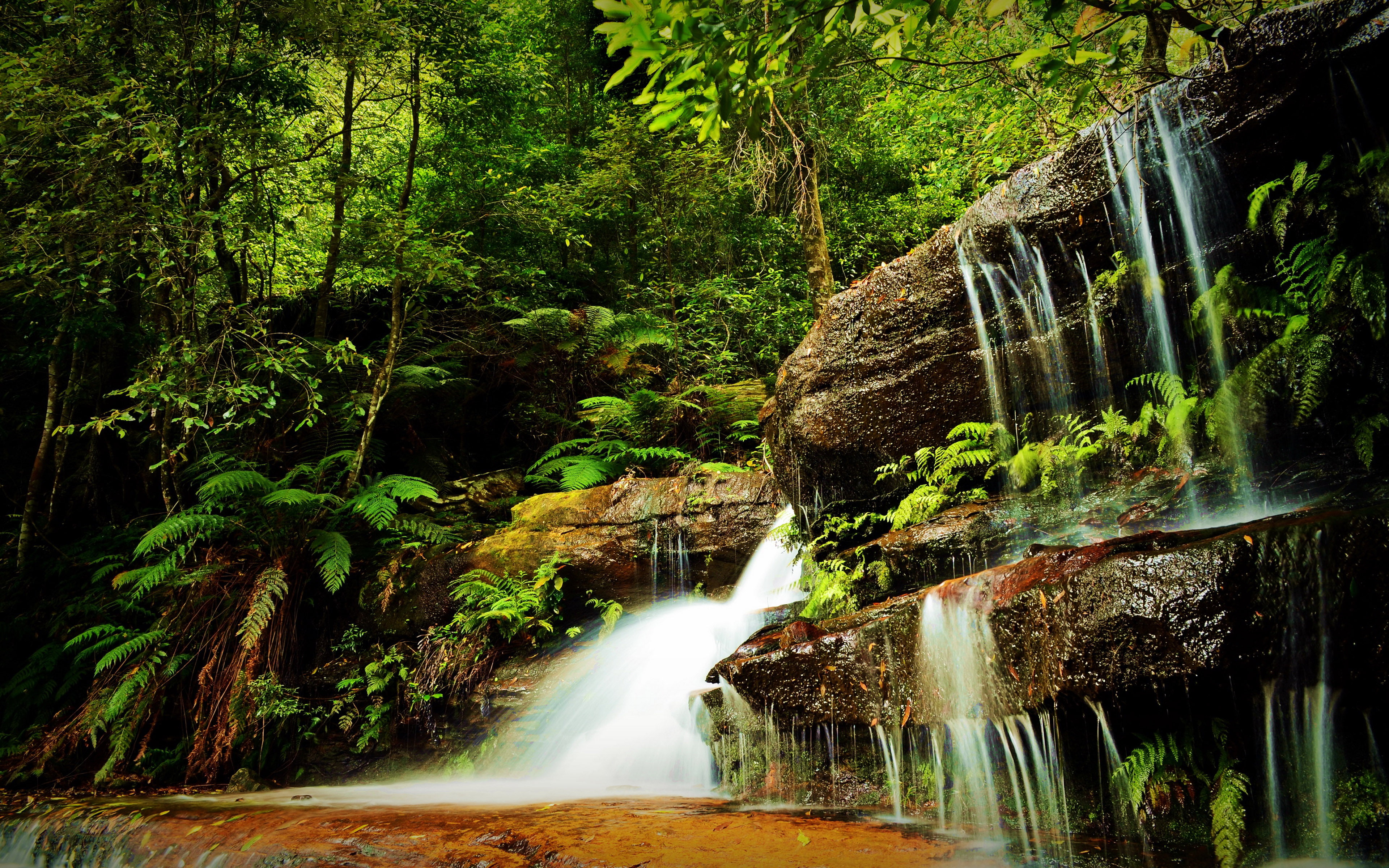  village, small, abkhazia, green, chernigovka, tropical, waterfall, moss, rocks, stream, hd, 4K, fern, desktop, vegetation, mountain, HD Wallpaper