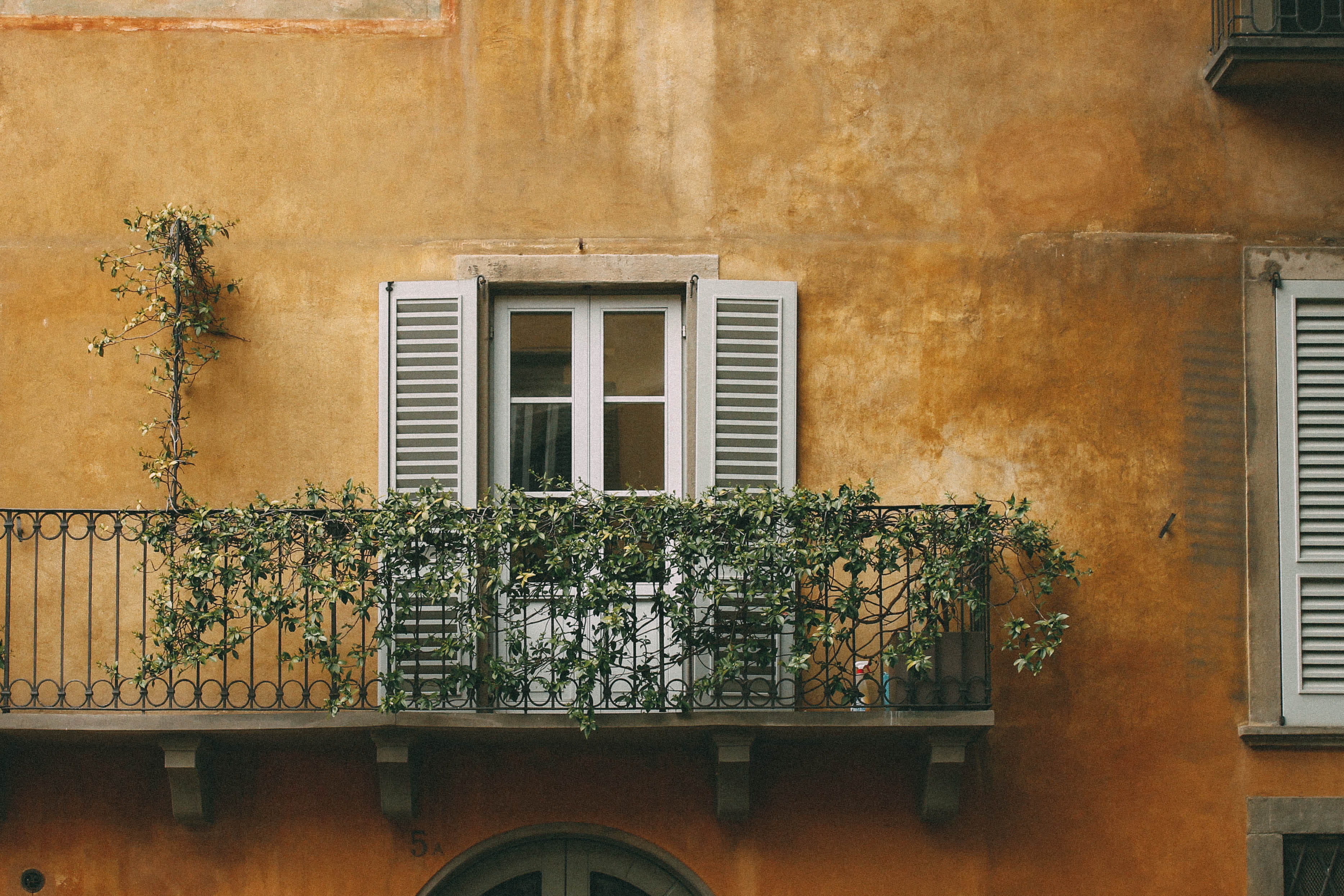 building, wall - building feature, growth, green color, window frame, nature, creeper plant, bergamo, orange, built structure, day, no people, building exterior, HD Wallpaper