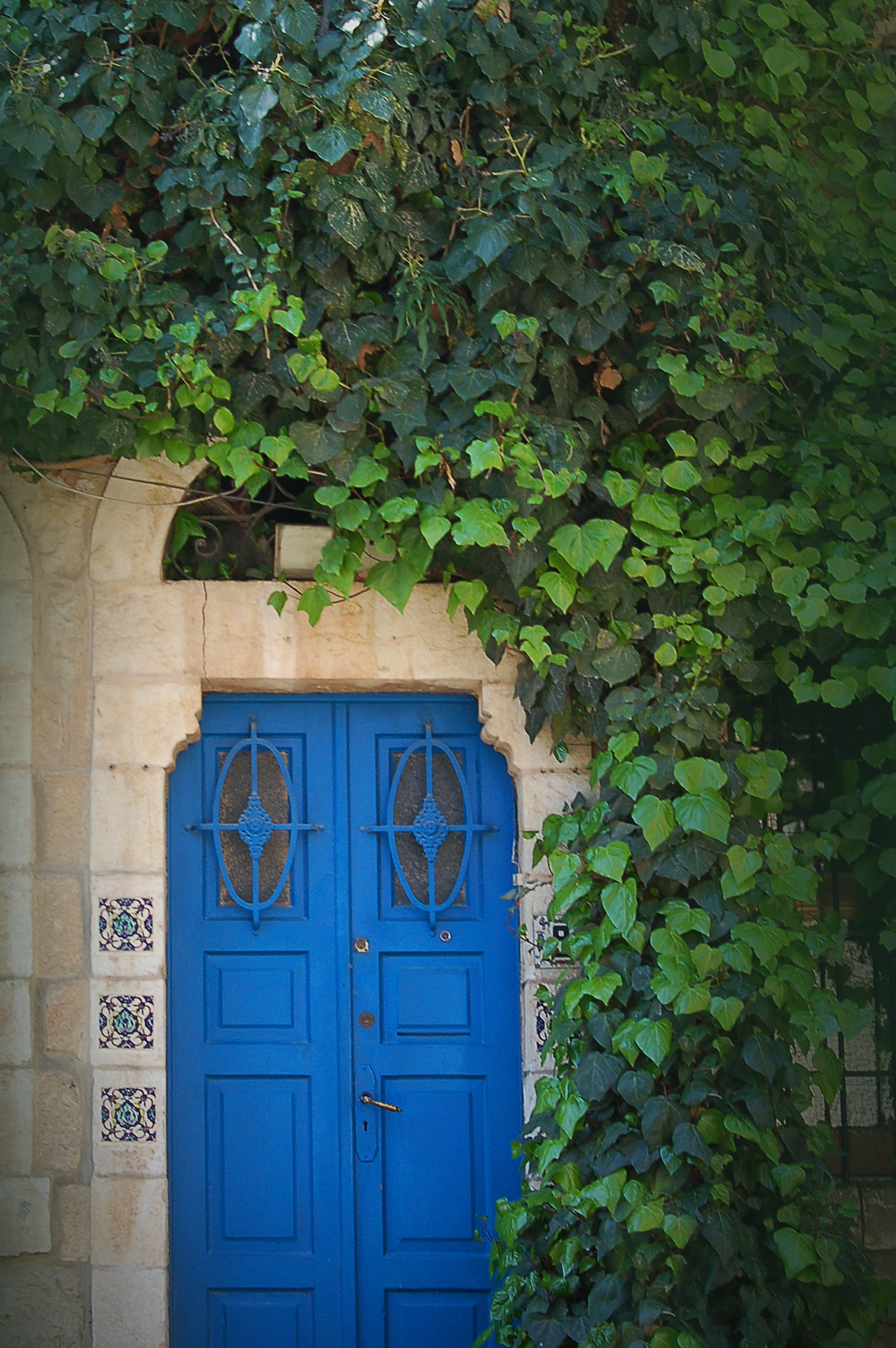 Jerusalem, tourism, entrance, day, 2K, blue, house, outdoors, building, Architecture, ivy, leaf, no people, creeper plant, building exterior, plant part, Phone HD Wallpaper