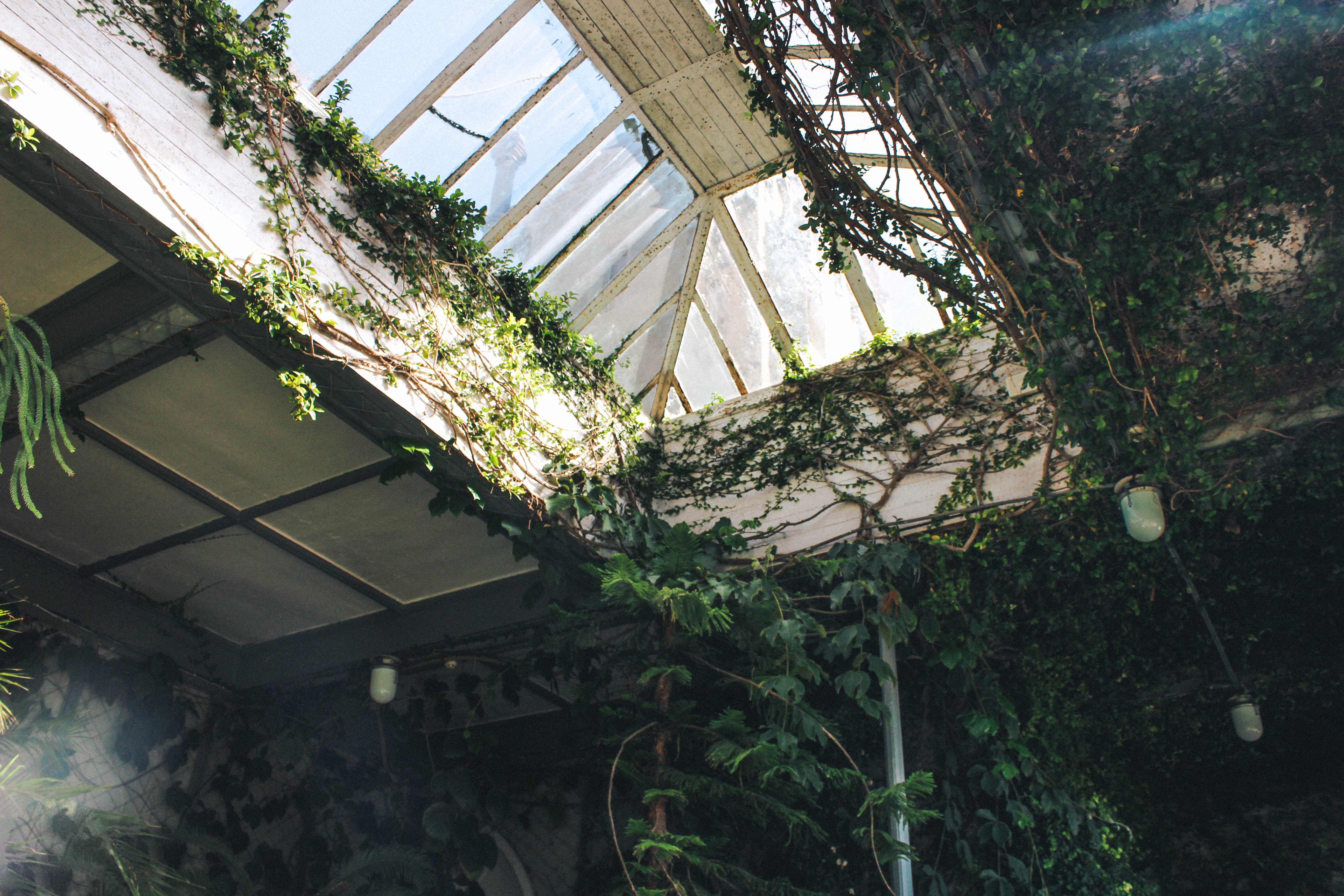 building, creeper plant, obsolete, window, low angle view, day, building exterior, ruined, abandoned, architecture, crimea, flowers, roof, russia, outdoors, HD Wallpaper