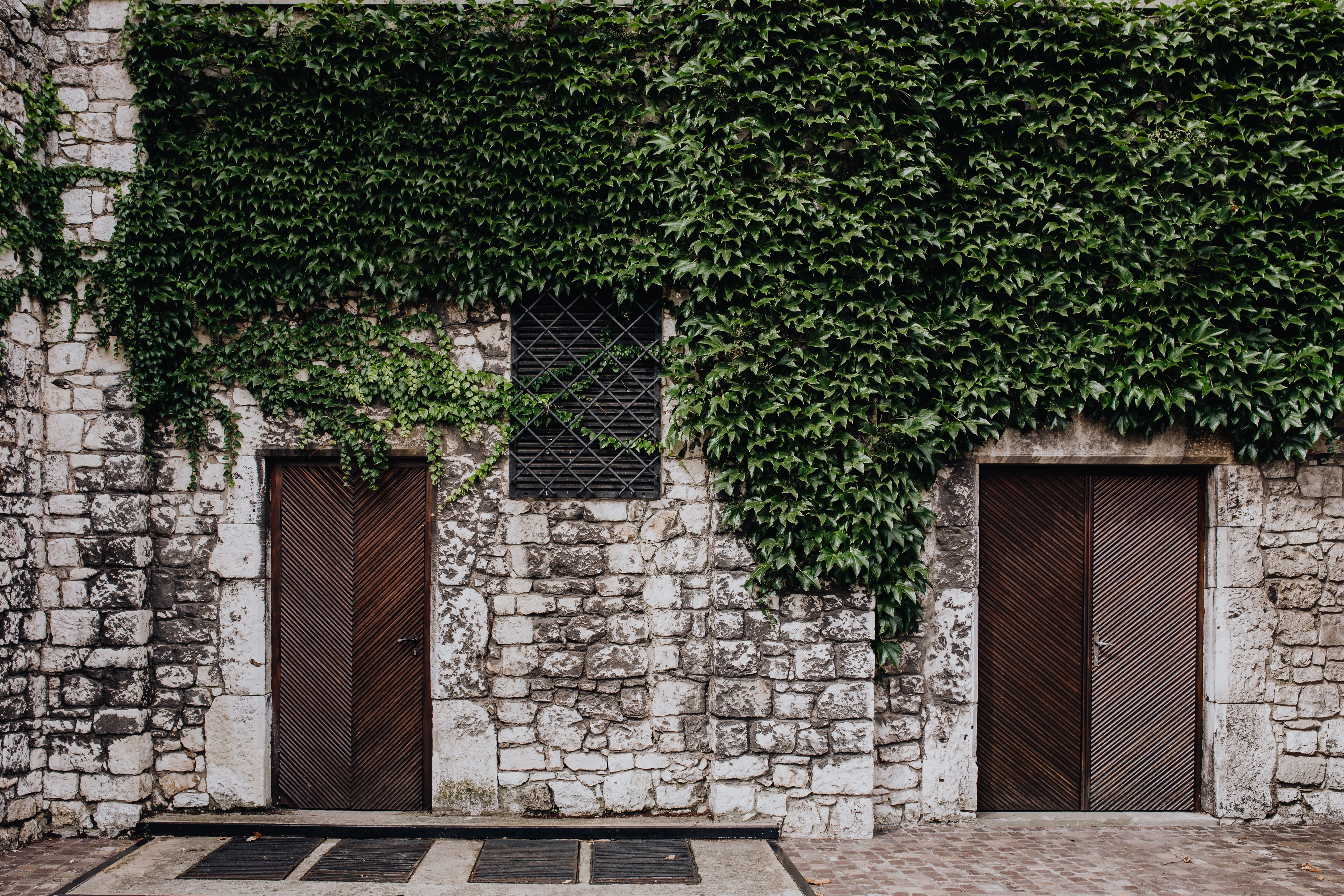 Poland, architecture, magic, door, city, karkow, entrance, first, building, stone wall, tree, cracow, nature, growth, closed, outdoors, 5K, polska, travel, HD Wallpaper