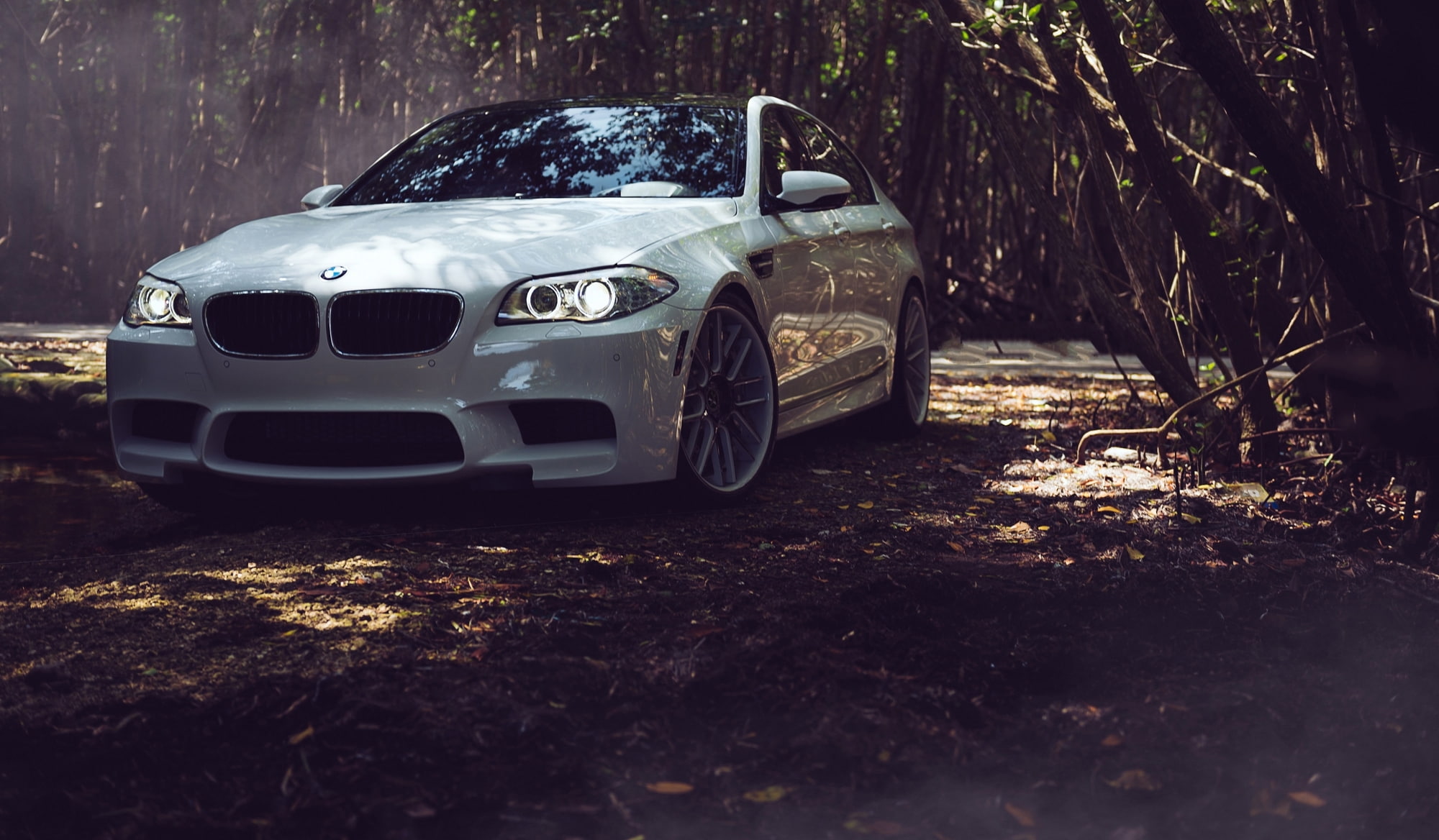 mode of Transport, toy car, road, no People, elegance, new, plant, modern, f, tree trunk, front View, Leaves, tree, nature, land Vehicle, engine, car, selective focus, HD Wallpaper