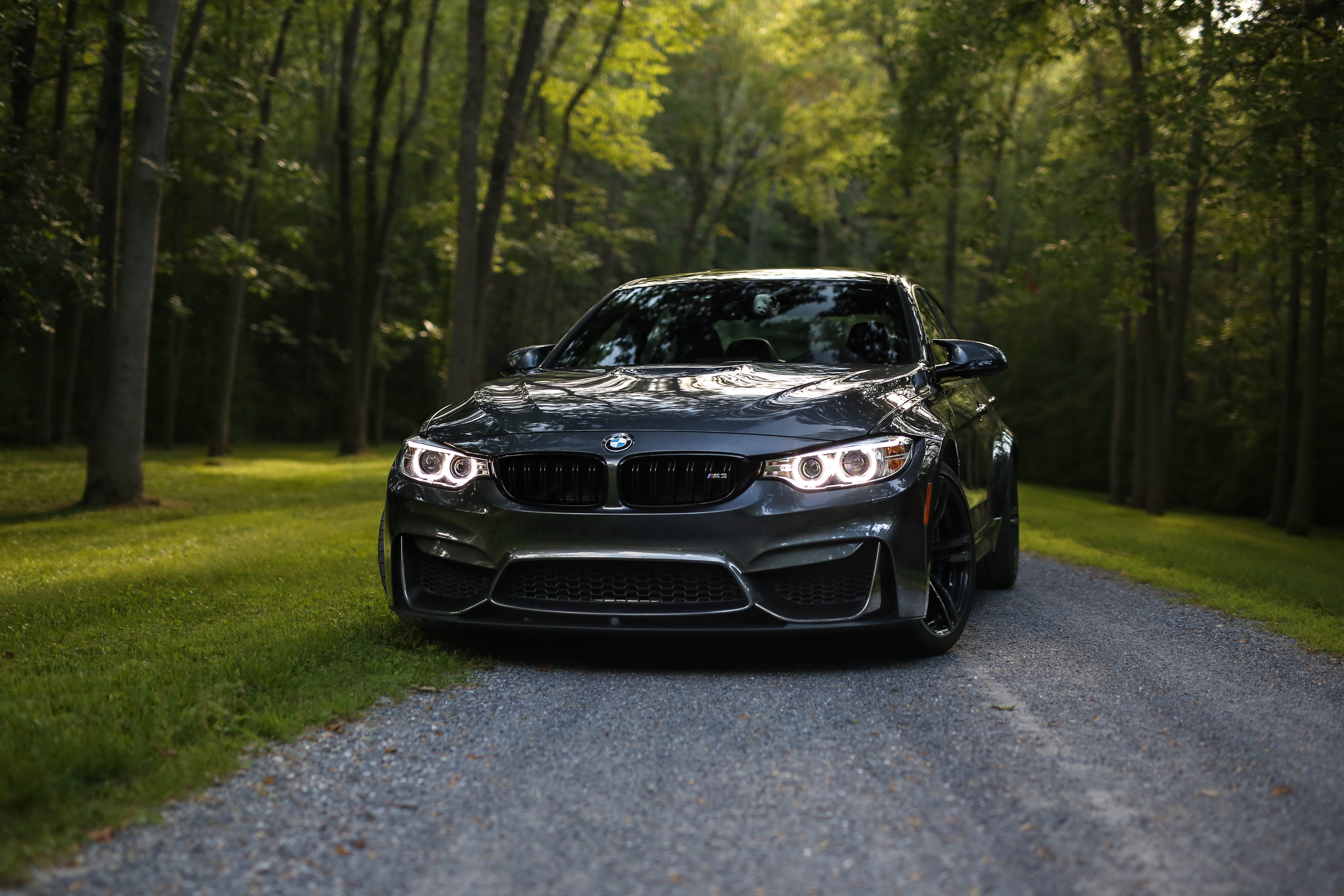 Bavaria, F82, BMW, Gray, 5K, HD Wallpaper