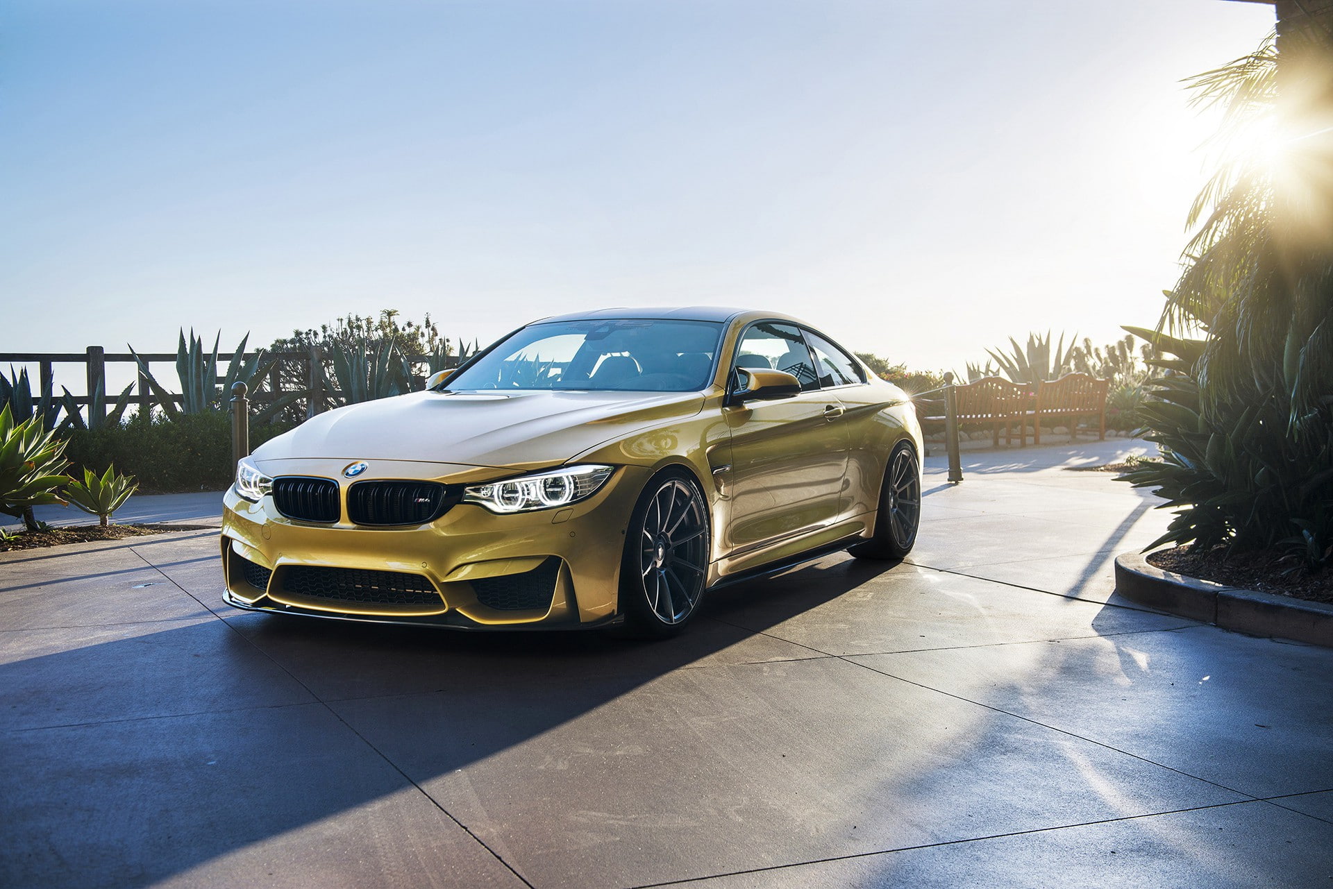 Vorsteyner king, f, BMW, 1080P, sleep, F82, Mn, HD Wallpaper
