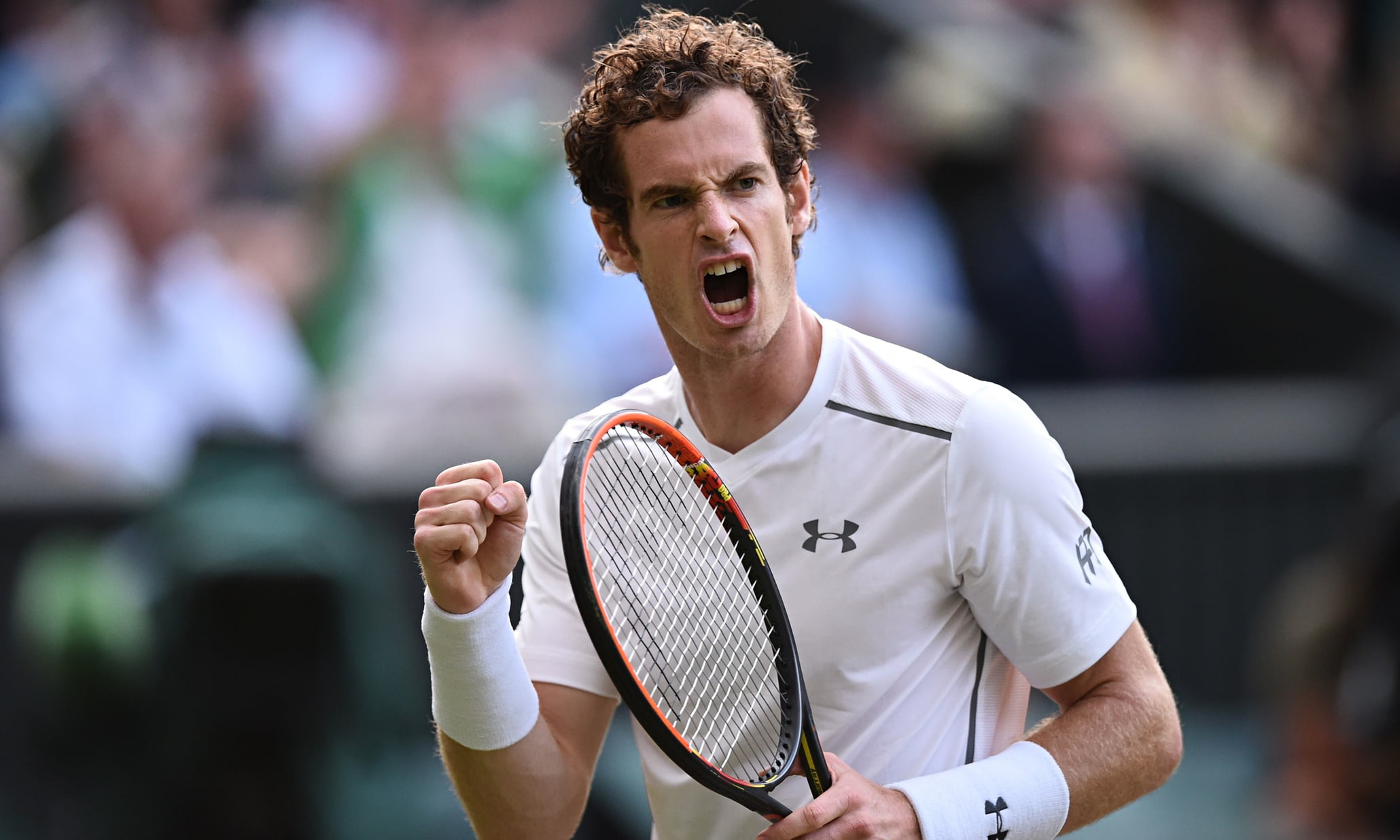 court, young Adult, men, adult, s, professional Sport, white, action, holding, one Man Only, tennis Racket, andy murray, success, smiling, competitive Sport, HD Wallpaper