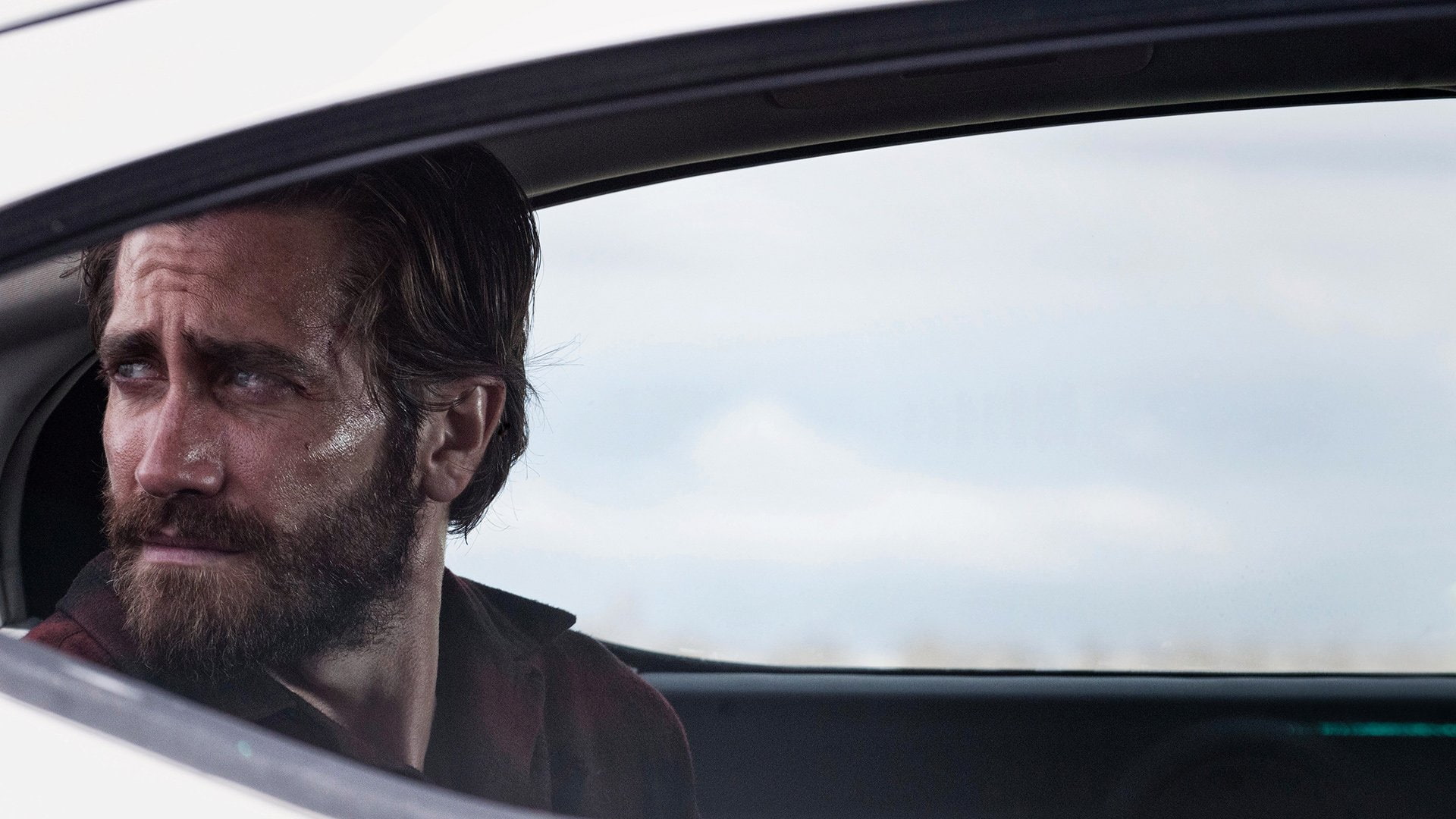 Nocturnal Animals, Movie, 1080P, Jake Gyllenhaal, HD Wallpaper