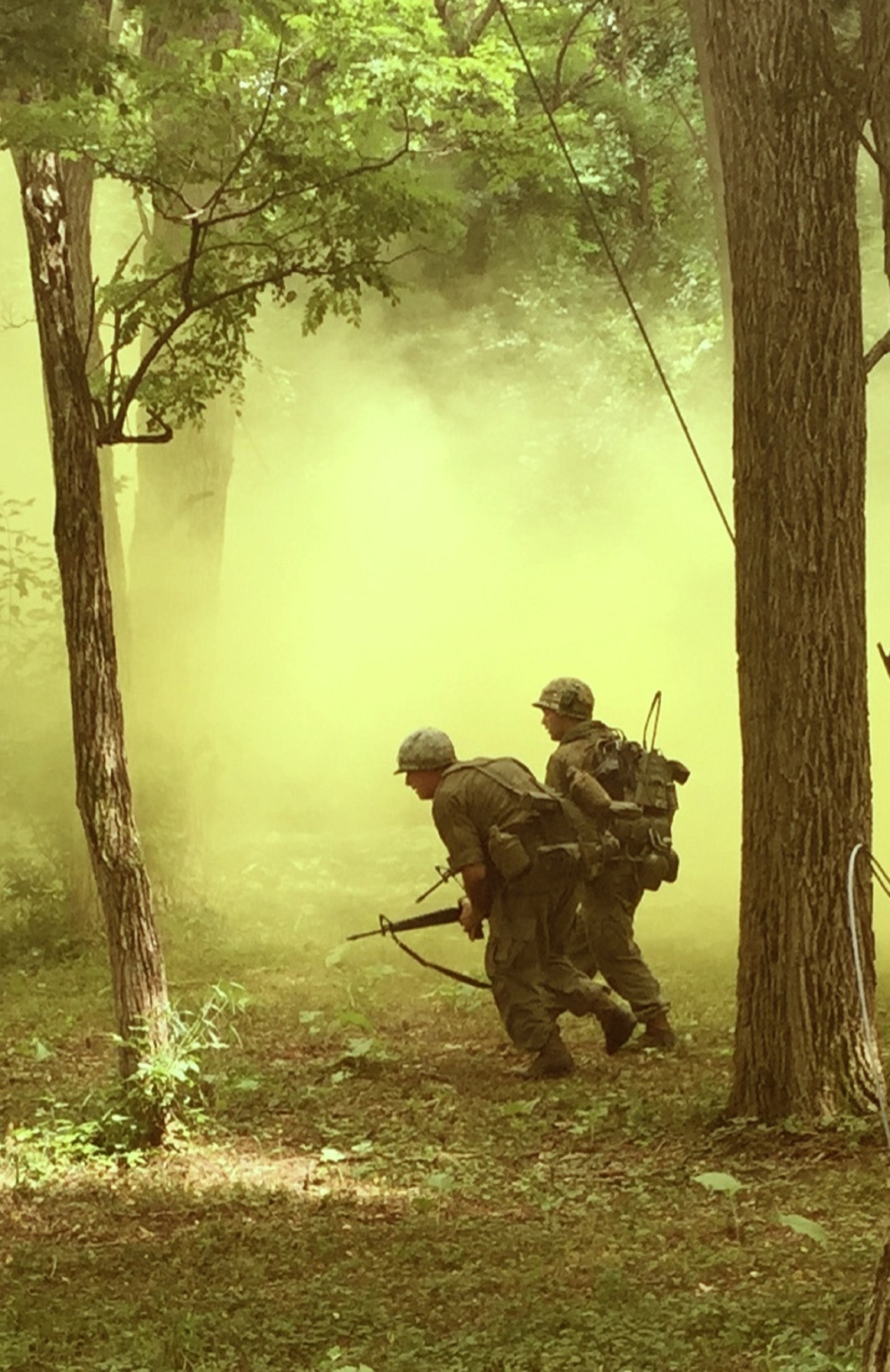 rifle, forest, usa, aggression, war, tree trunk, plant, people, government, day, tree, trunk, soldier, 2K, infantry, camouflage, army, special forces, Phone HD Wallpaper