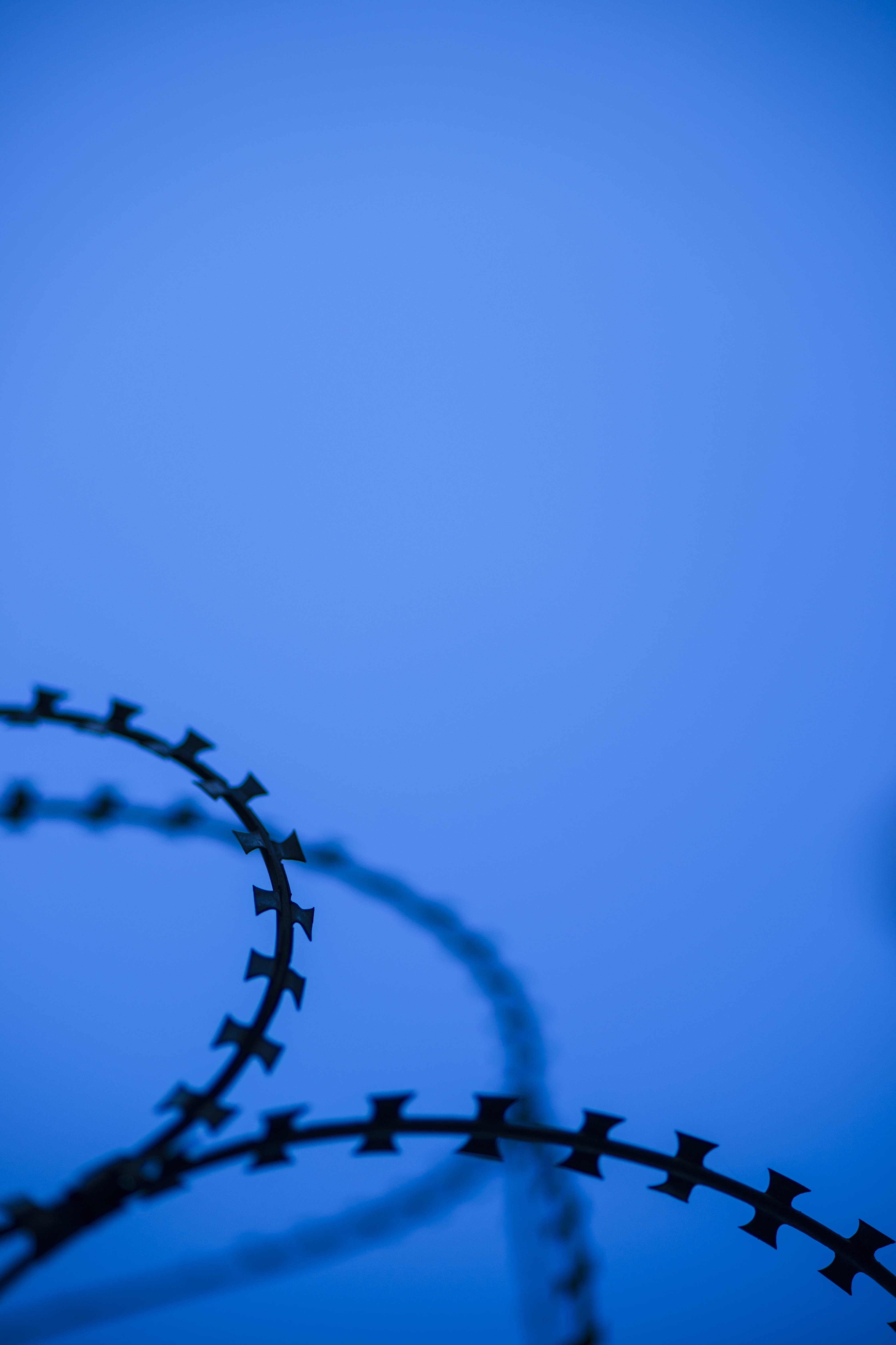 sky, low angle view, background, military, macro, close-up, opinions, selective focus, backgrounds, razor wire, engel, prison, abstract, pattern, war, detail, Phone HD Wallpaper