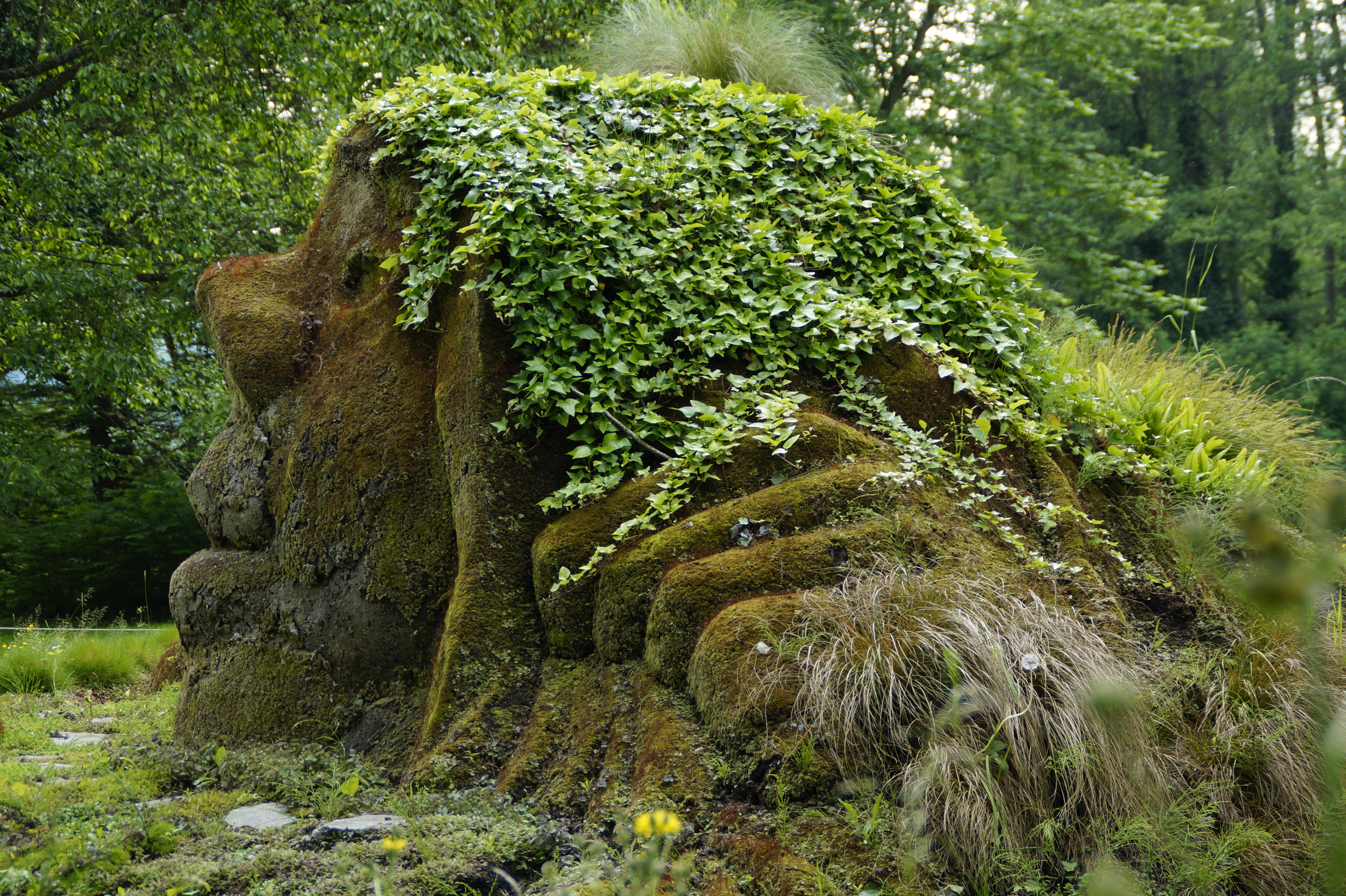 foliage, land, face, woman, grass, human, troll, nature spirit, stone, tree trunk, no people, trunk, gnome, bemoost, sculpture, portrait, moss covered, HD Wallpaper