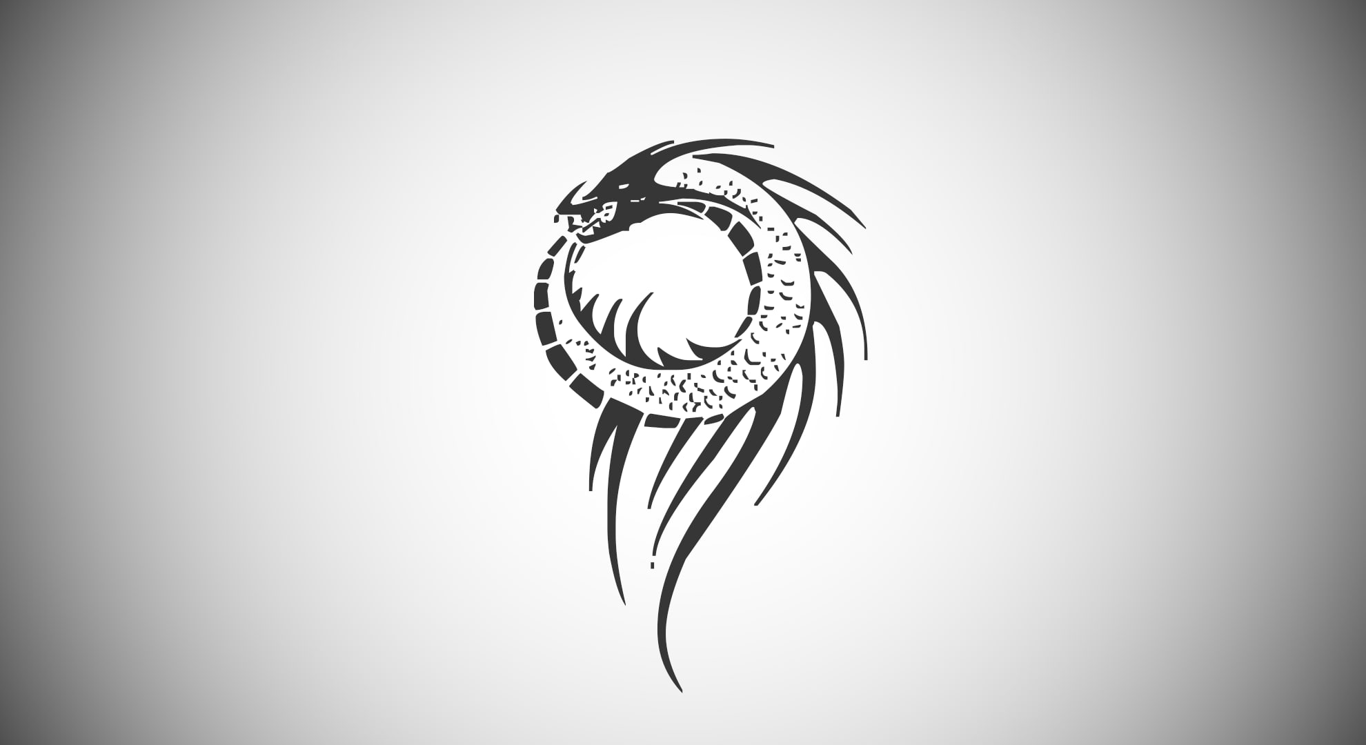 minimalism  Dragon Wings  Chinas wind, 1080P, HD Wallpaper