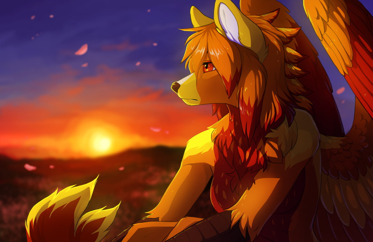 720P, Anthro, sunset, furry, leaves, wings, HD Wallpaper
