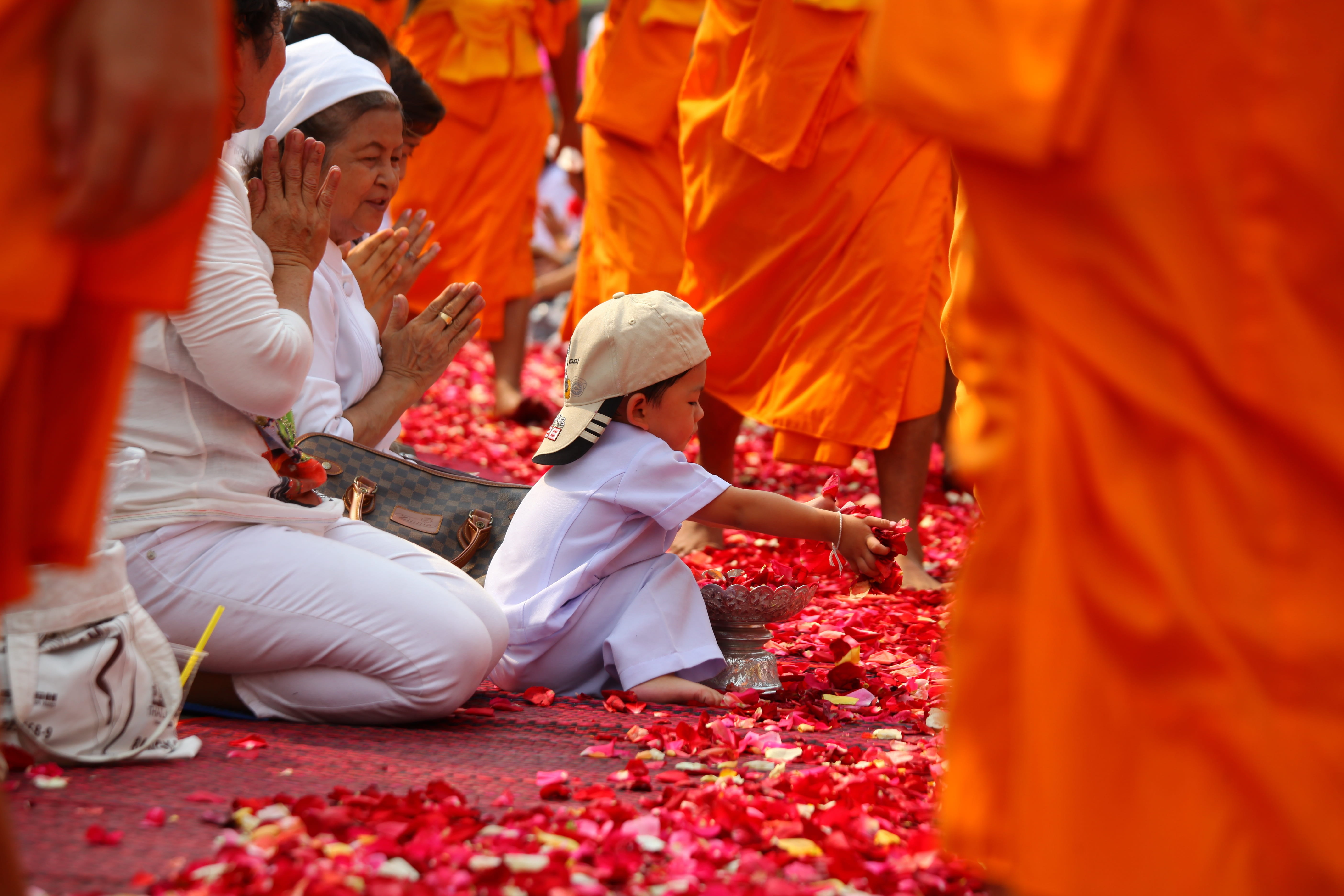 temple, adult, meditate, budhas, red, orange color, spirituality, tradition, petals, clothing, floor, phra dhammakaya, women, togetherness, wedding ceremony, HD Wallpaper